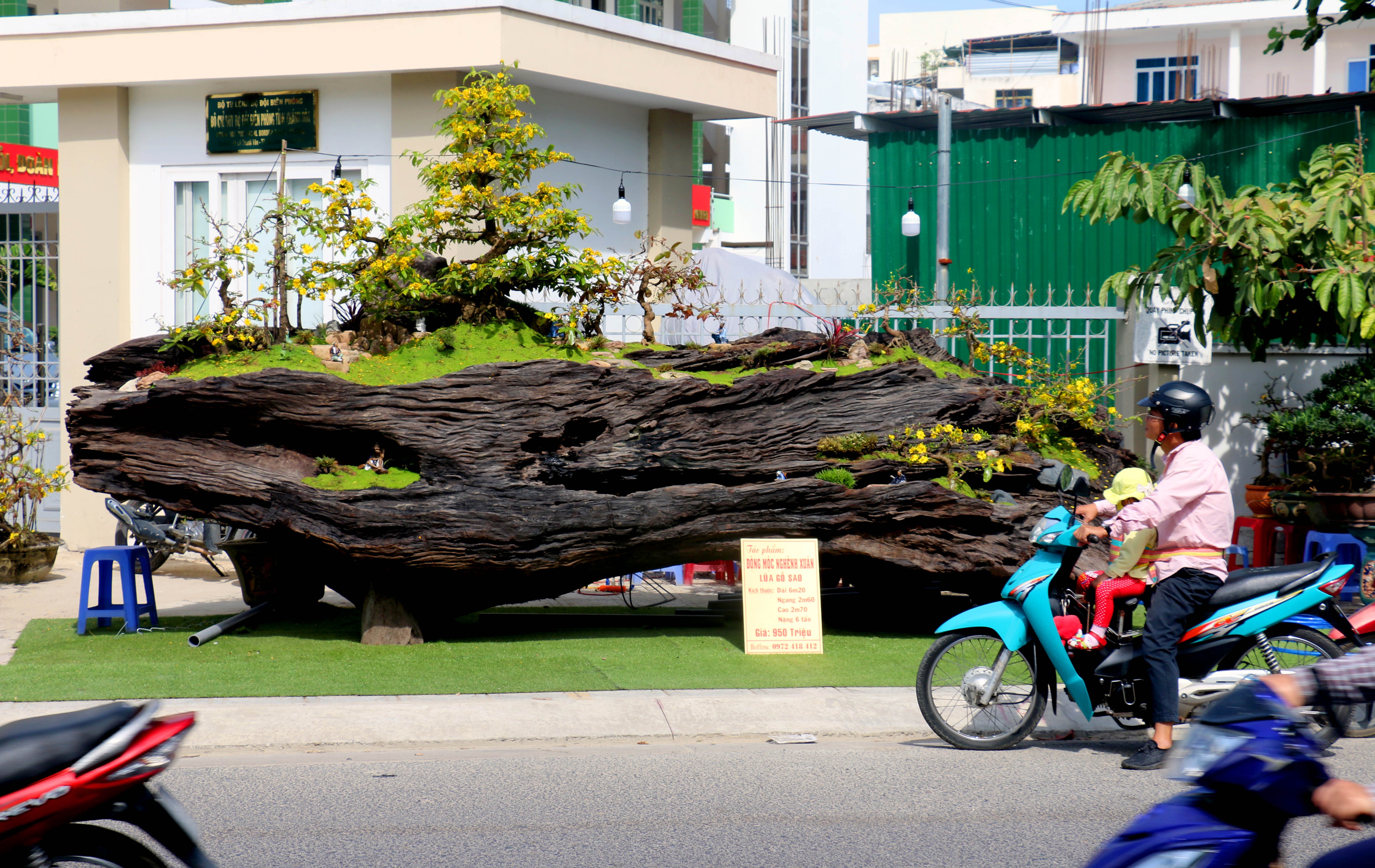 Goc sao tram tuoi tien ty cua nghe nhan tre o Nha Trang hinh anh