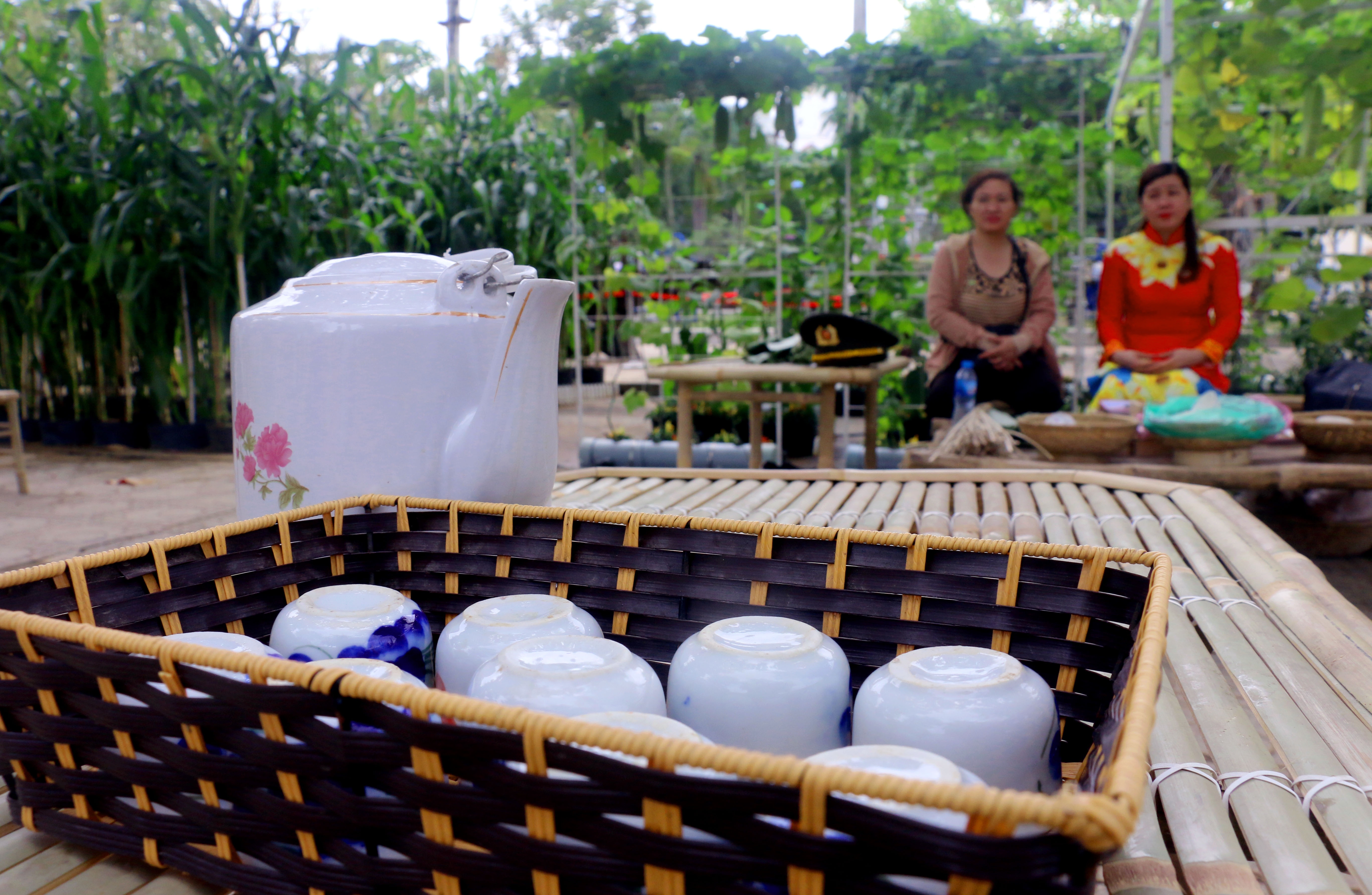 Tet Ky Hoi 2019,  duong hoa,  Nha Trang anh 15