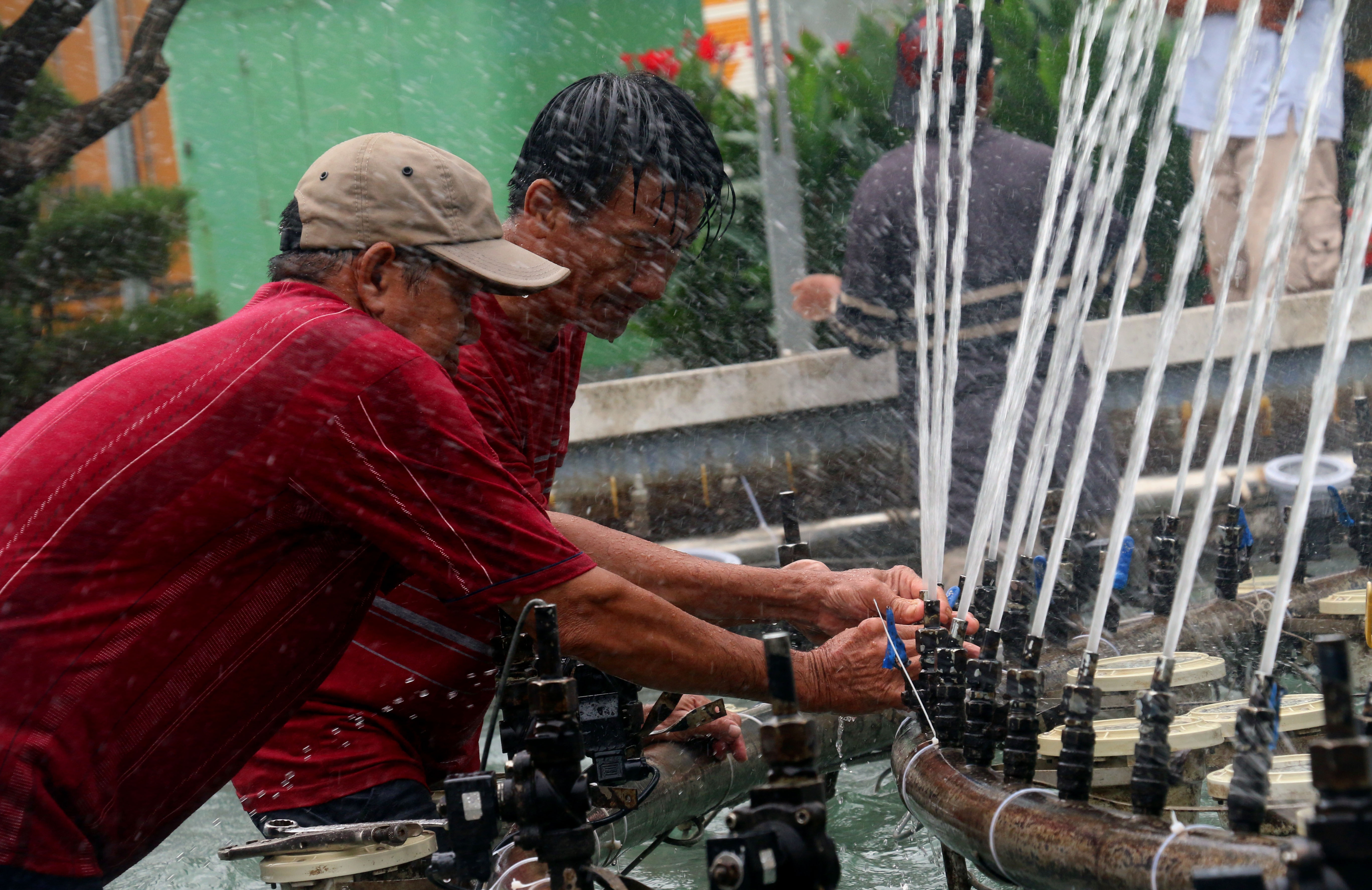 Tet Ky Hoi 2019,  duong hoa,  Nha Trang anh 16