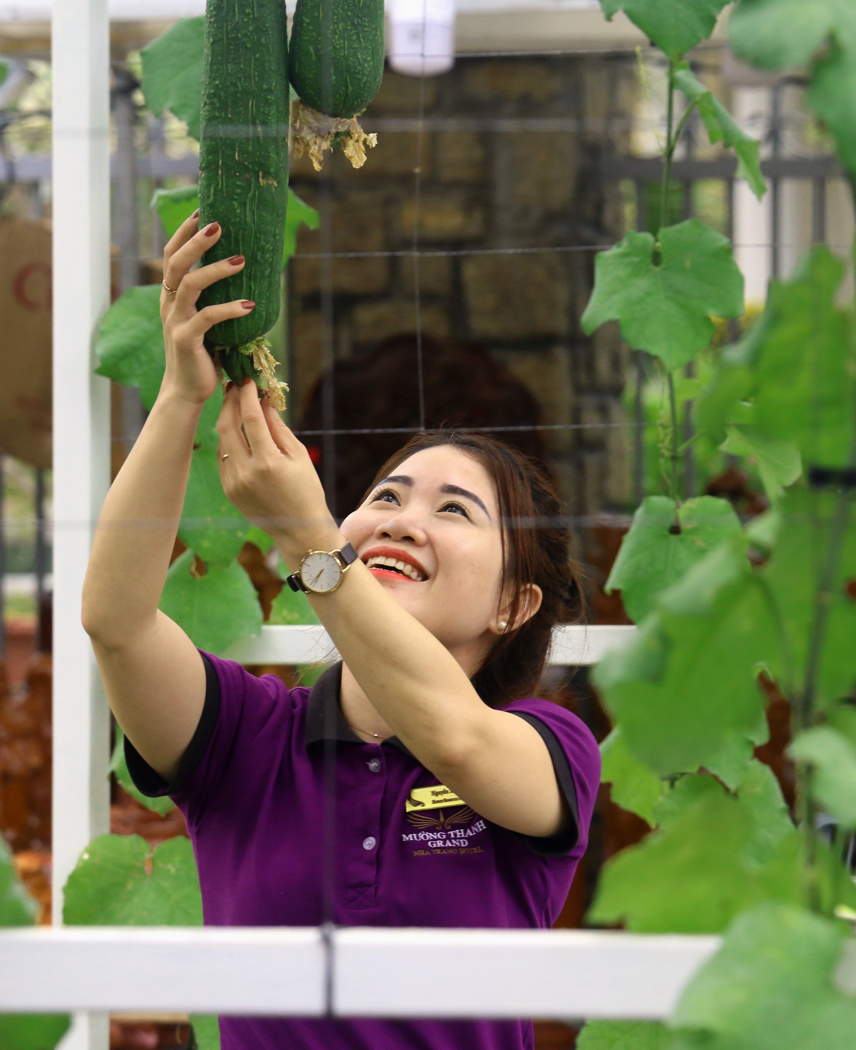 Tet Ky Hoi 2019,  duong hoa,  Nha Trang anh 6