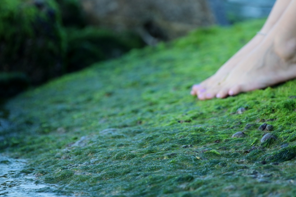 Bien Nha Trang anh 7