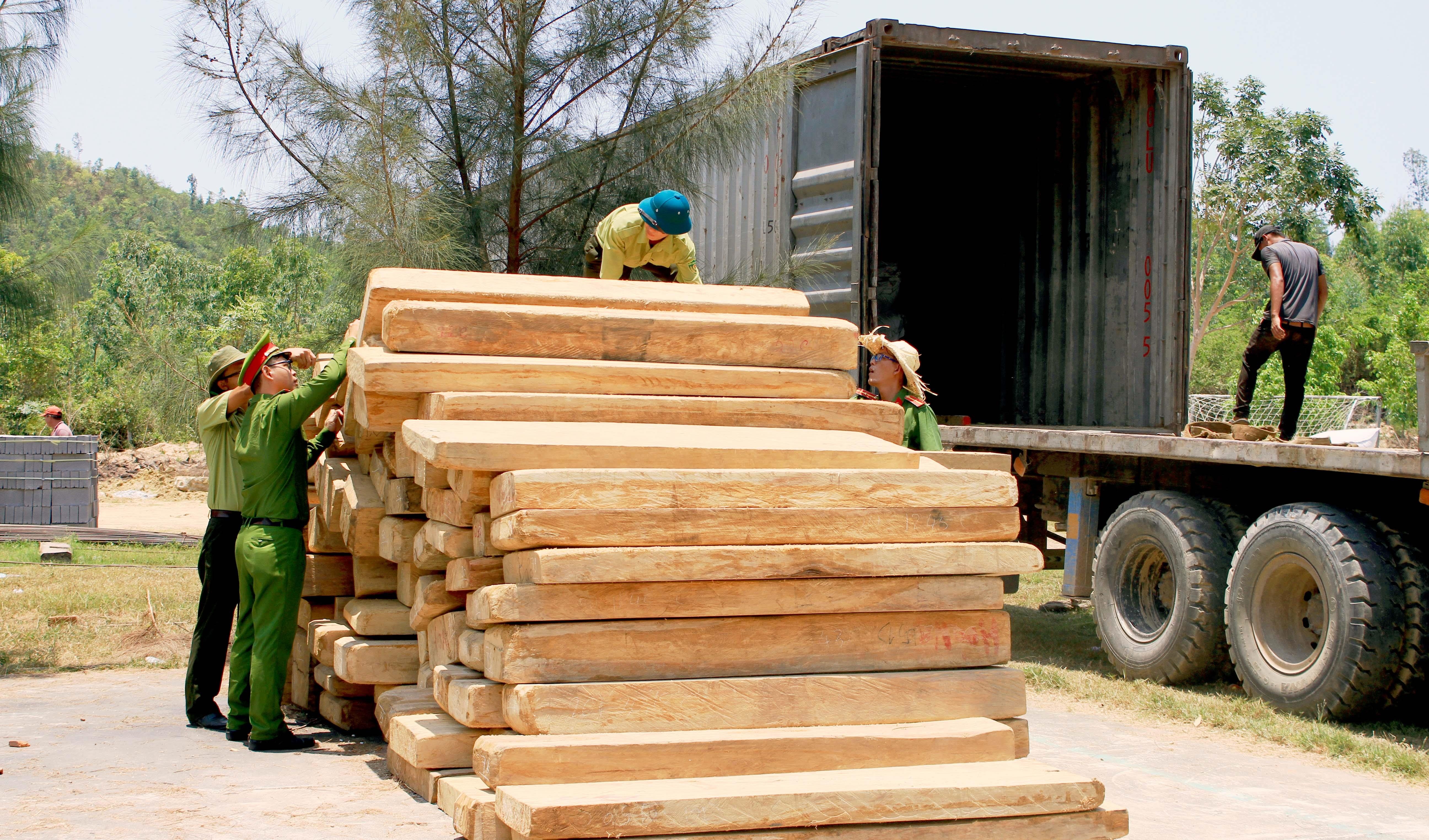 Giau hon 11 m3 go quy hiem trong thung container ho tieu hinh anh