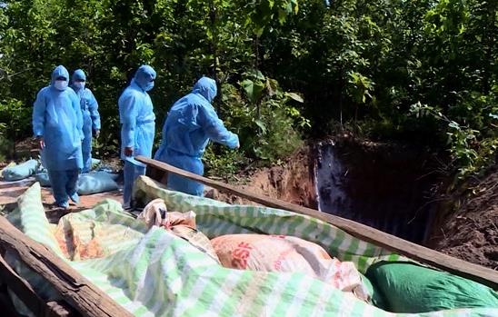 Dich ta lon chau Phi anh 1