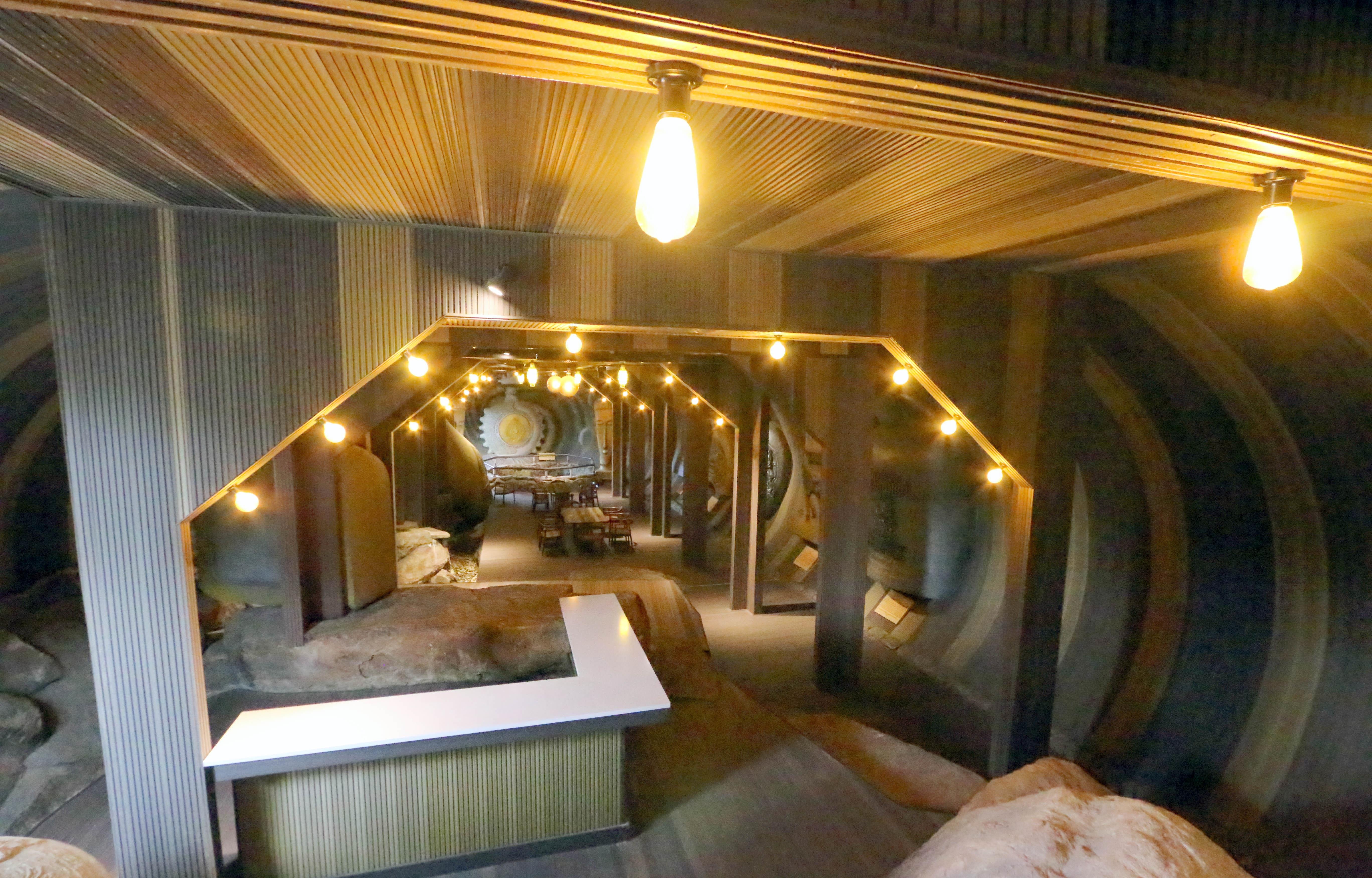 Mo hinh tau ngam anh 5