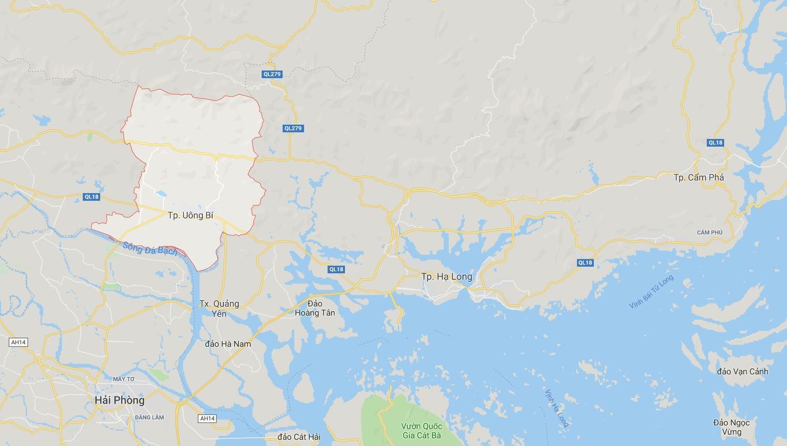 Con re chem bo vo o Quang Ninh anh 1