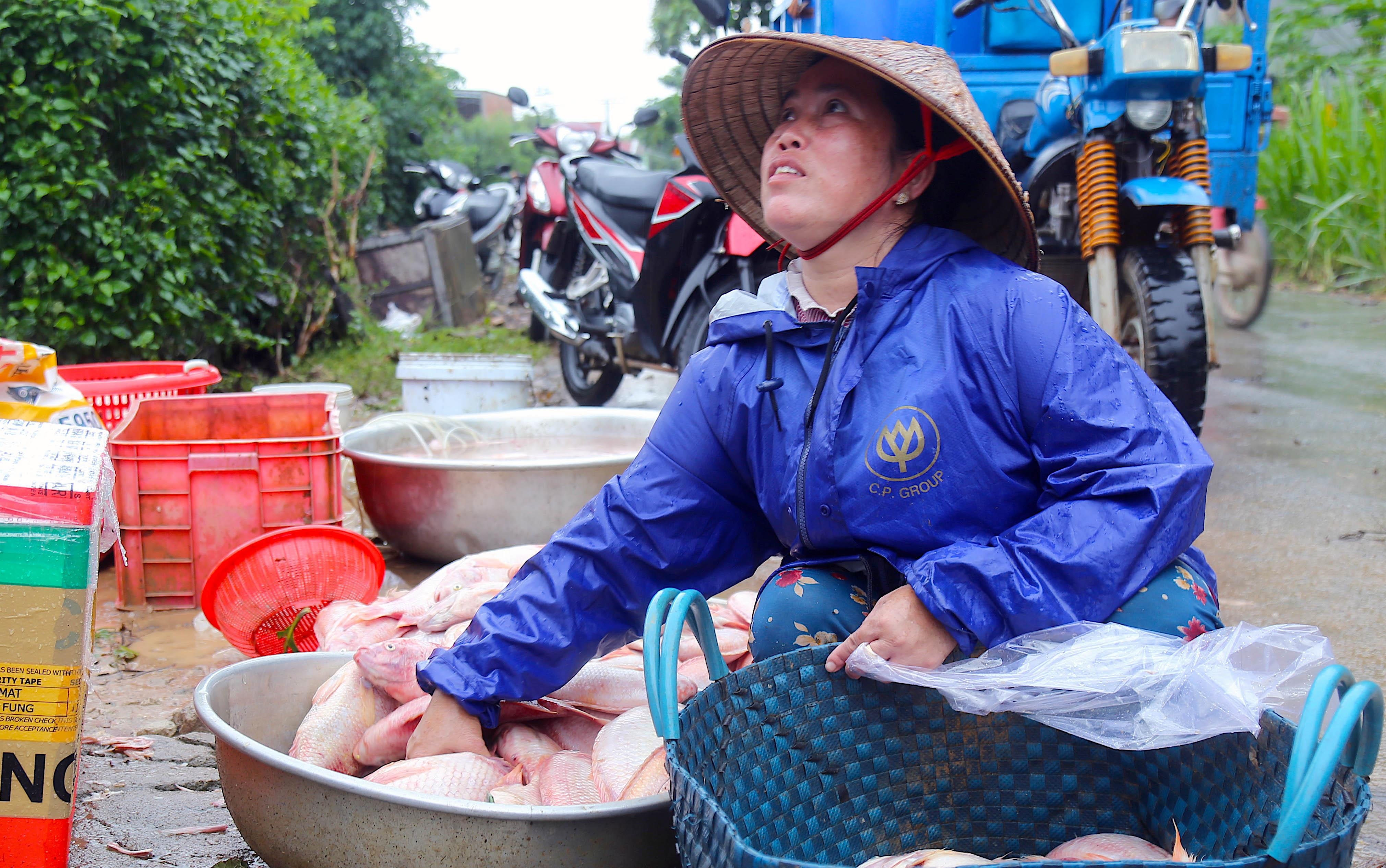Hang nghin tan ca be chet do mua lu, nguoi dan ngua mat keu troi hinh anh