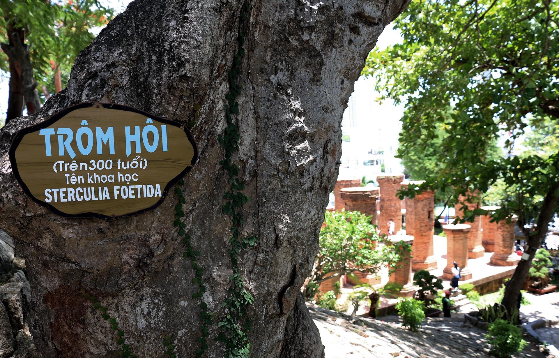 Thap Ba Ponagar Nha Trang anh 13