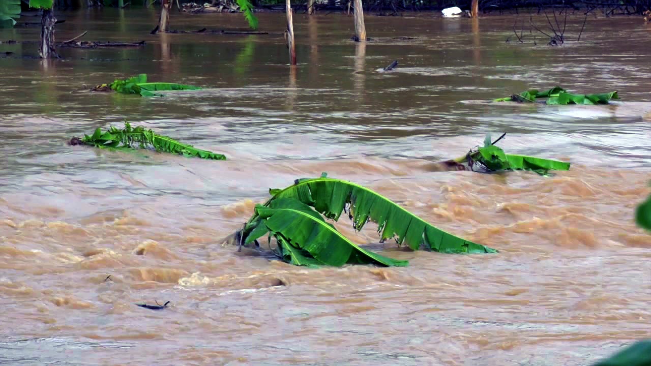 canh sat so tan hang tram nguoi o Binh Phuoc anh 4