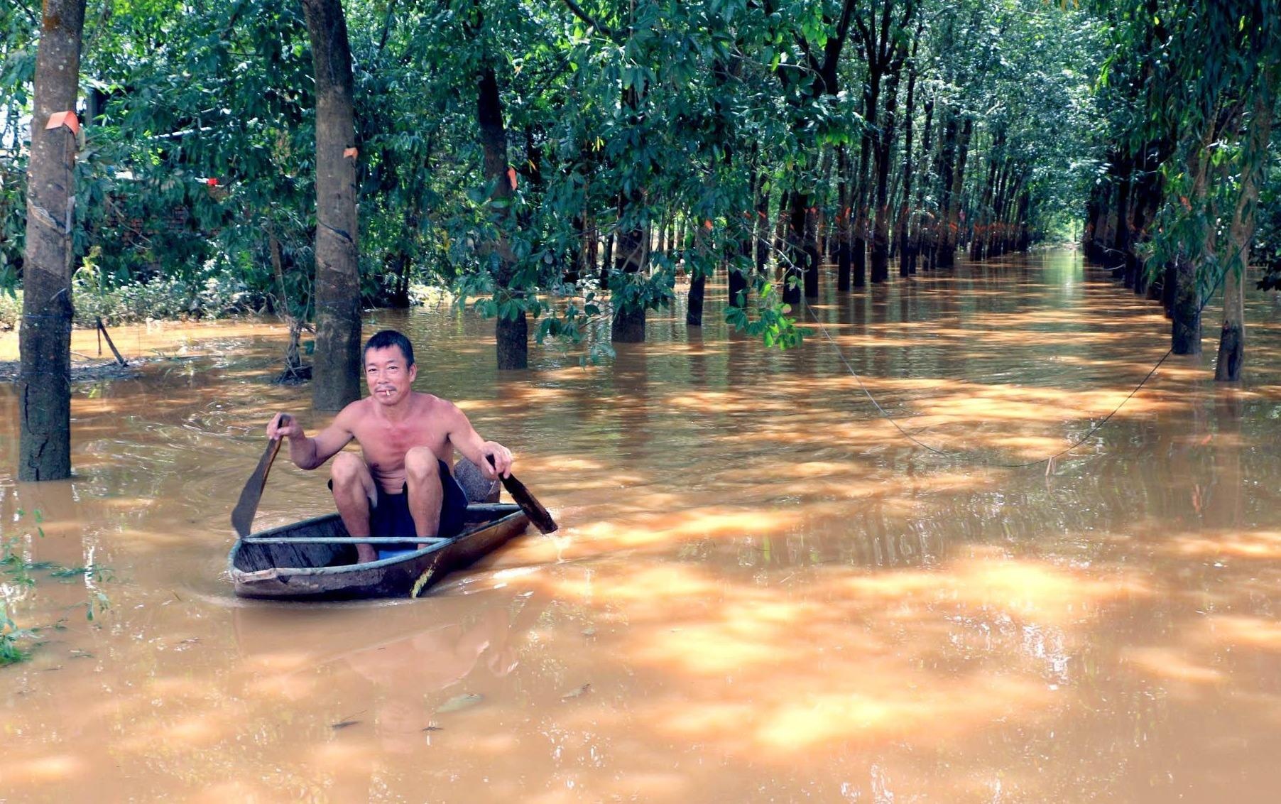 Noi nuoc ngap sau 3 thang khong rut hinh anh