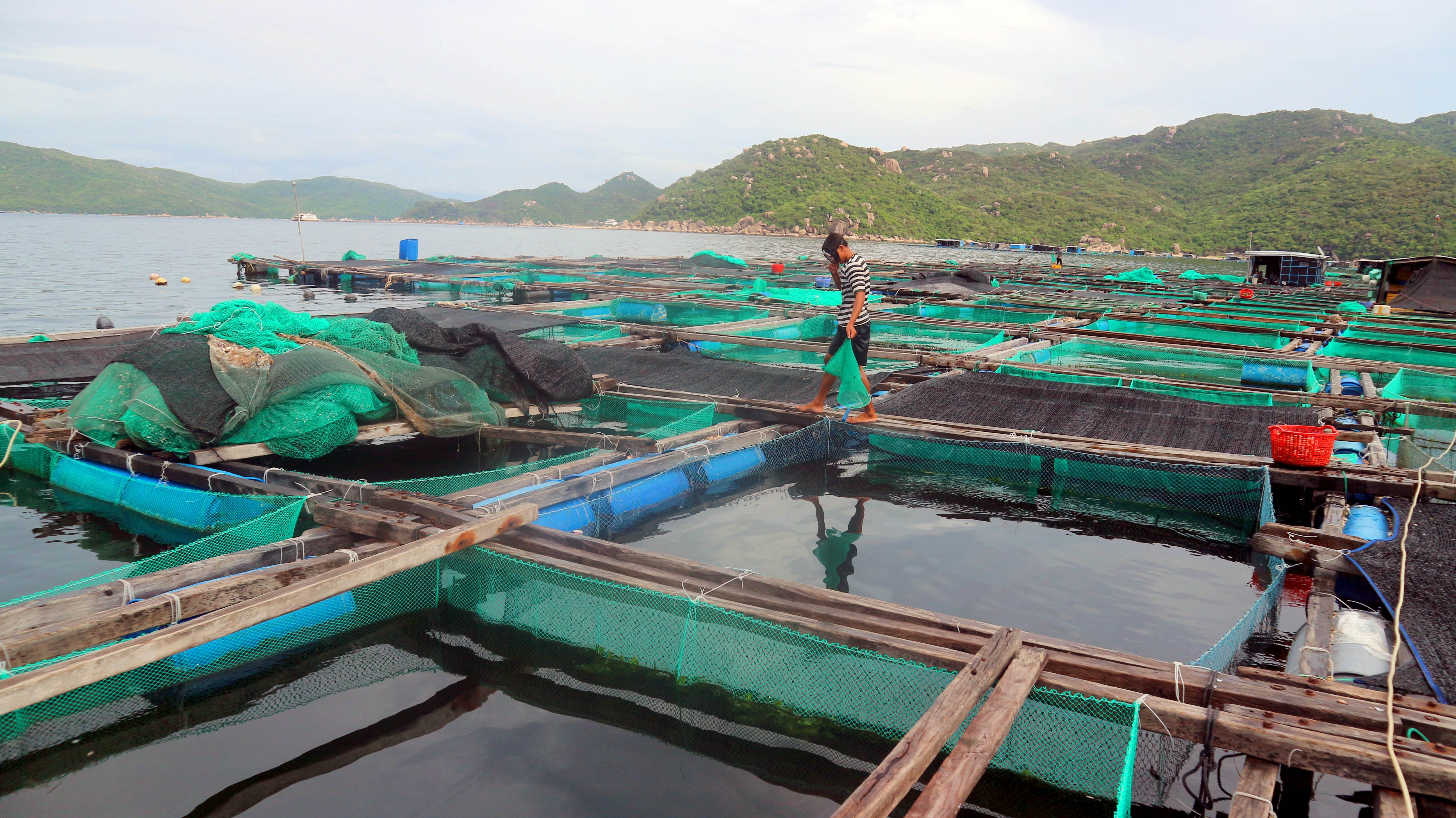 Khanh Hoa cam bien, cho hoc sinh nghi 2 ngay tranh bao hinh anh