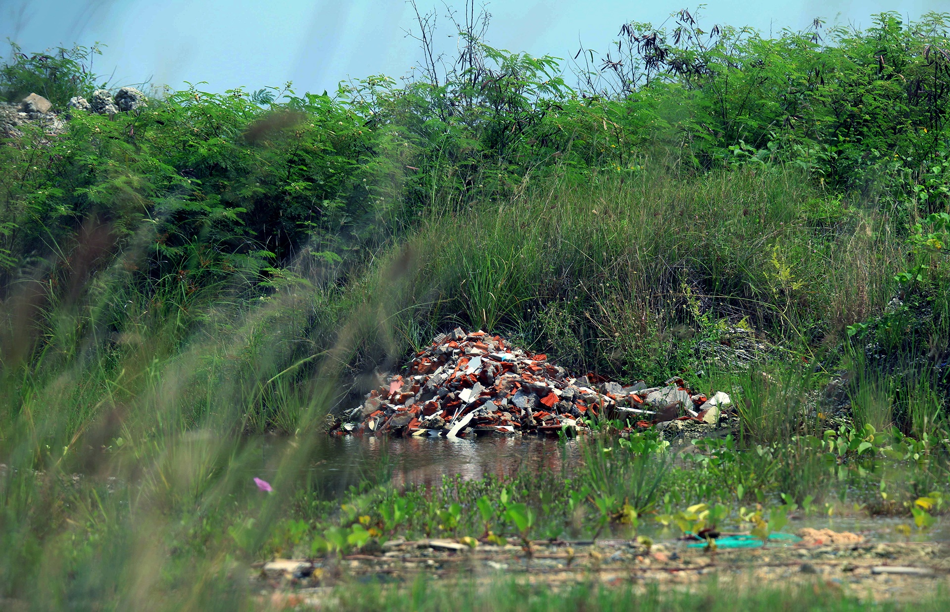 Du an Nha Trang Sao Nha Trang anh 6
