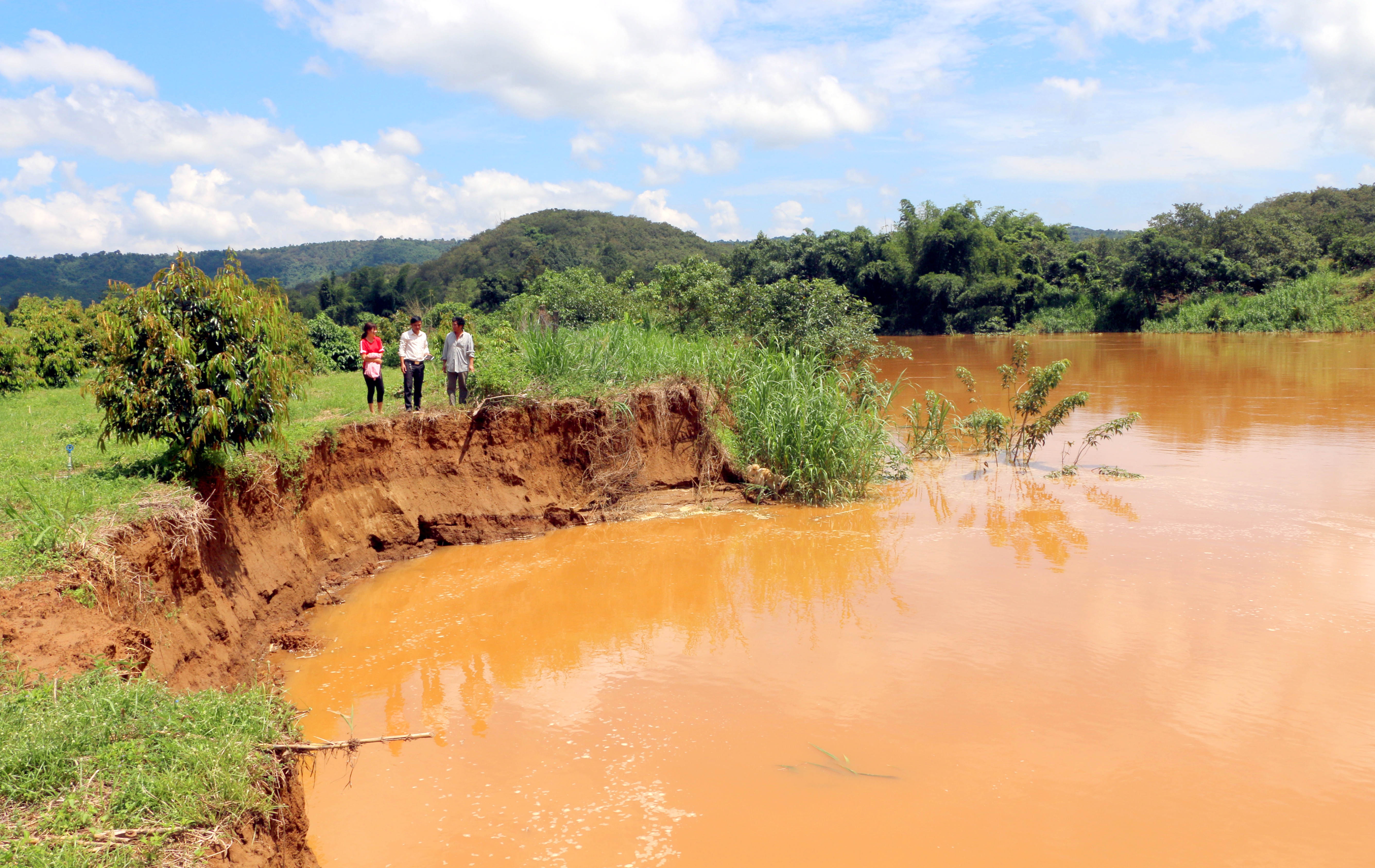 Dan keu cuu vi 'cat tac' hoanh hanh tren song Dong Nai hinh anh