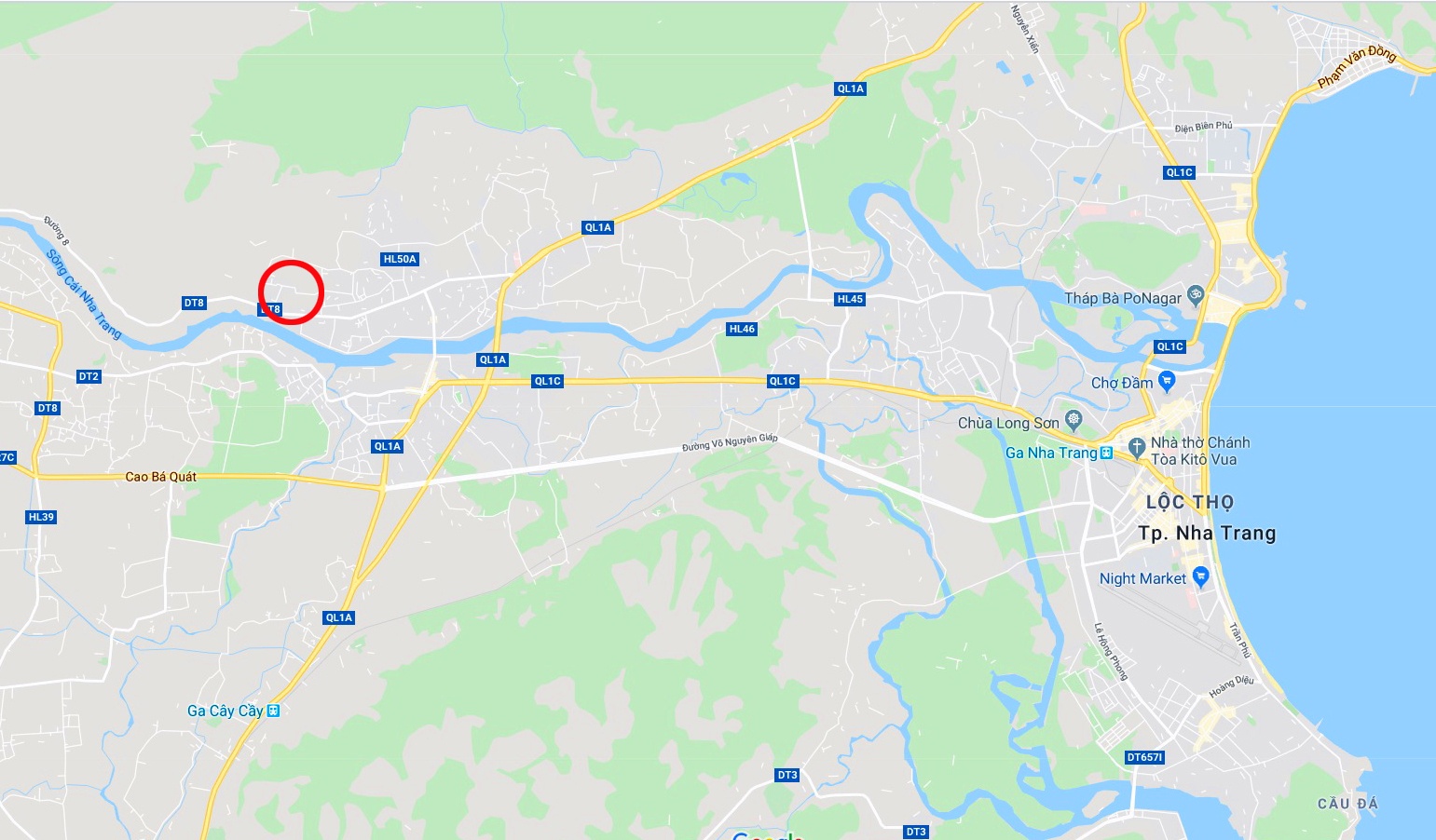 san xuat phuc vu Tet o Khanh Hoa anh 17