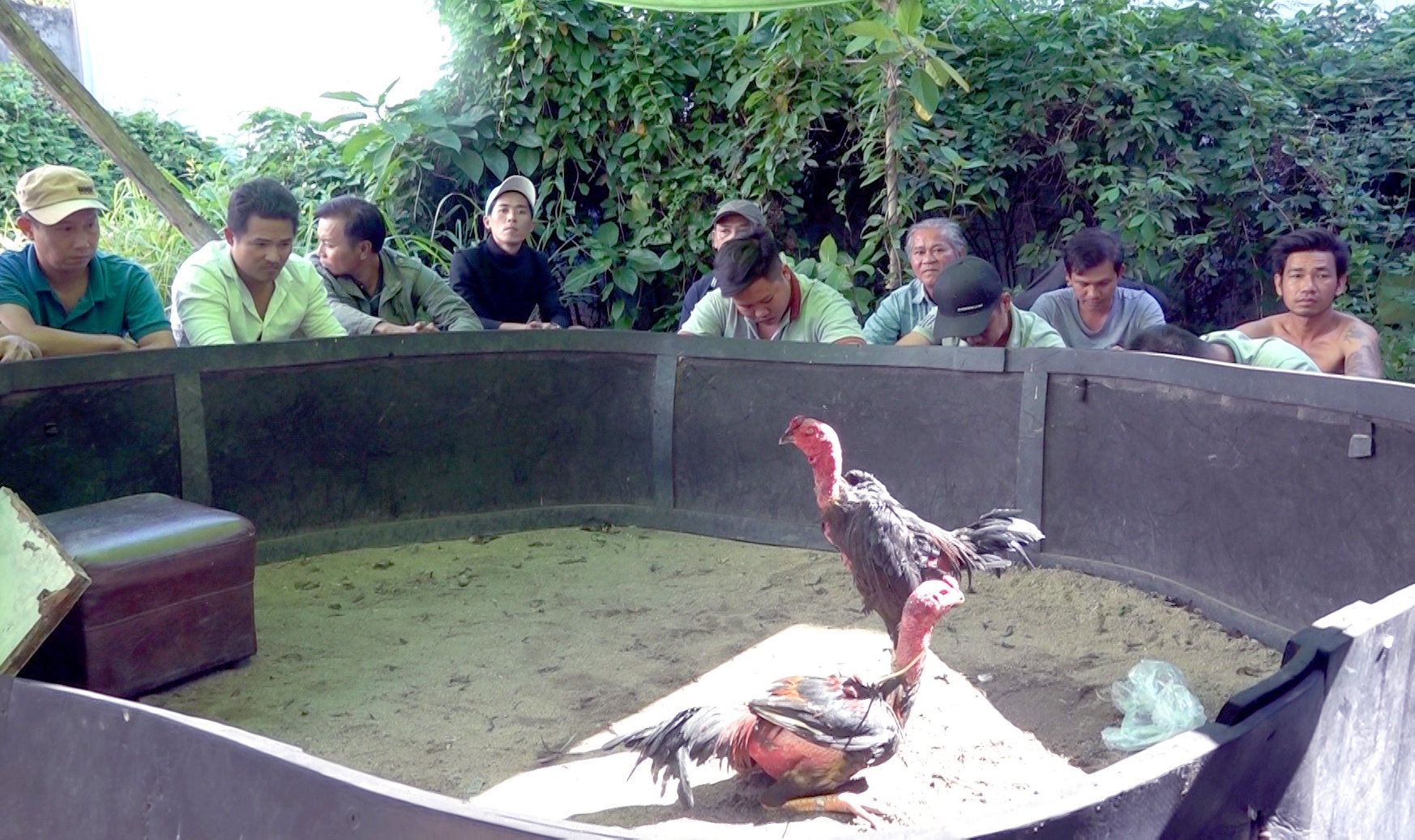 To chuc da ga o Nha Trang anh 1