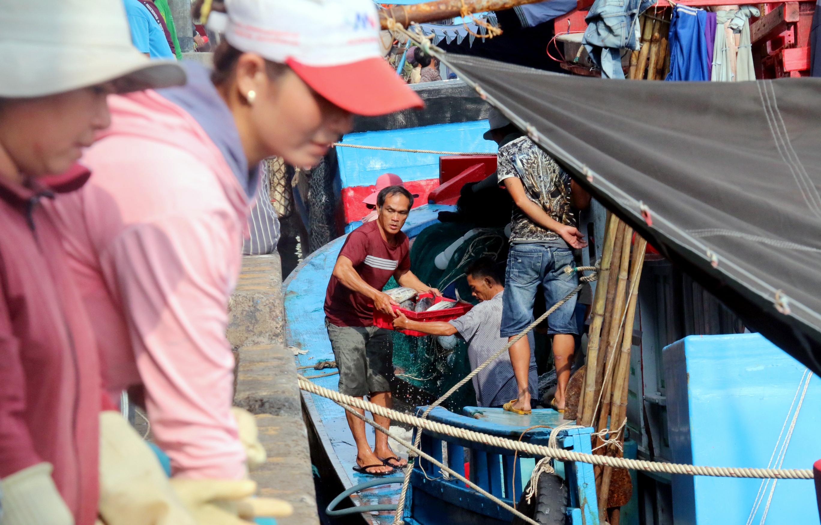 Ngu dan danh bat ca ngay can Tet anh 1