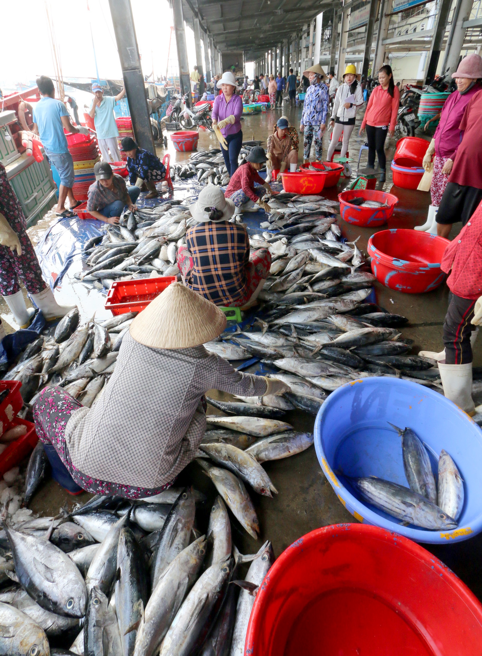 Ngu dan danh bat ca ngay can Tet anh 3