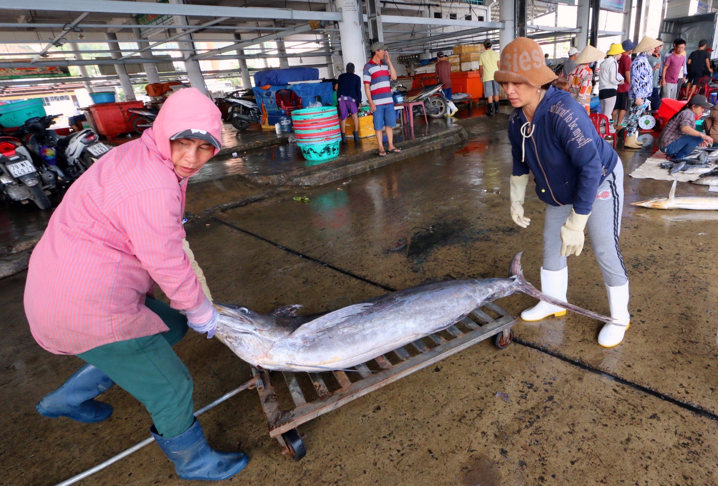 Ngu dan danh bat ca ngay can Tet anh 4