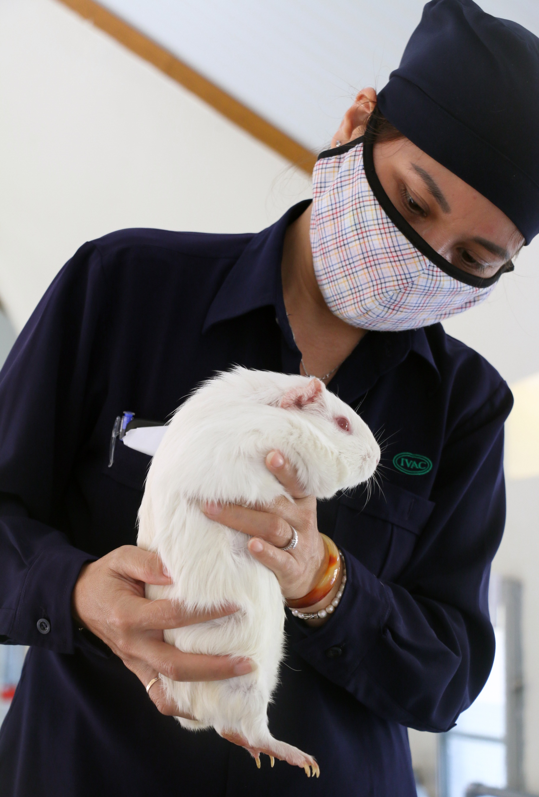 Trai chan nuoi chuot o Khanh Hoa anh 3