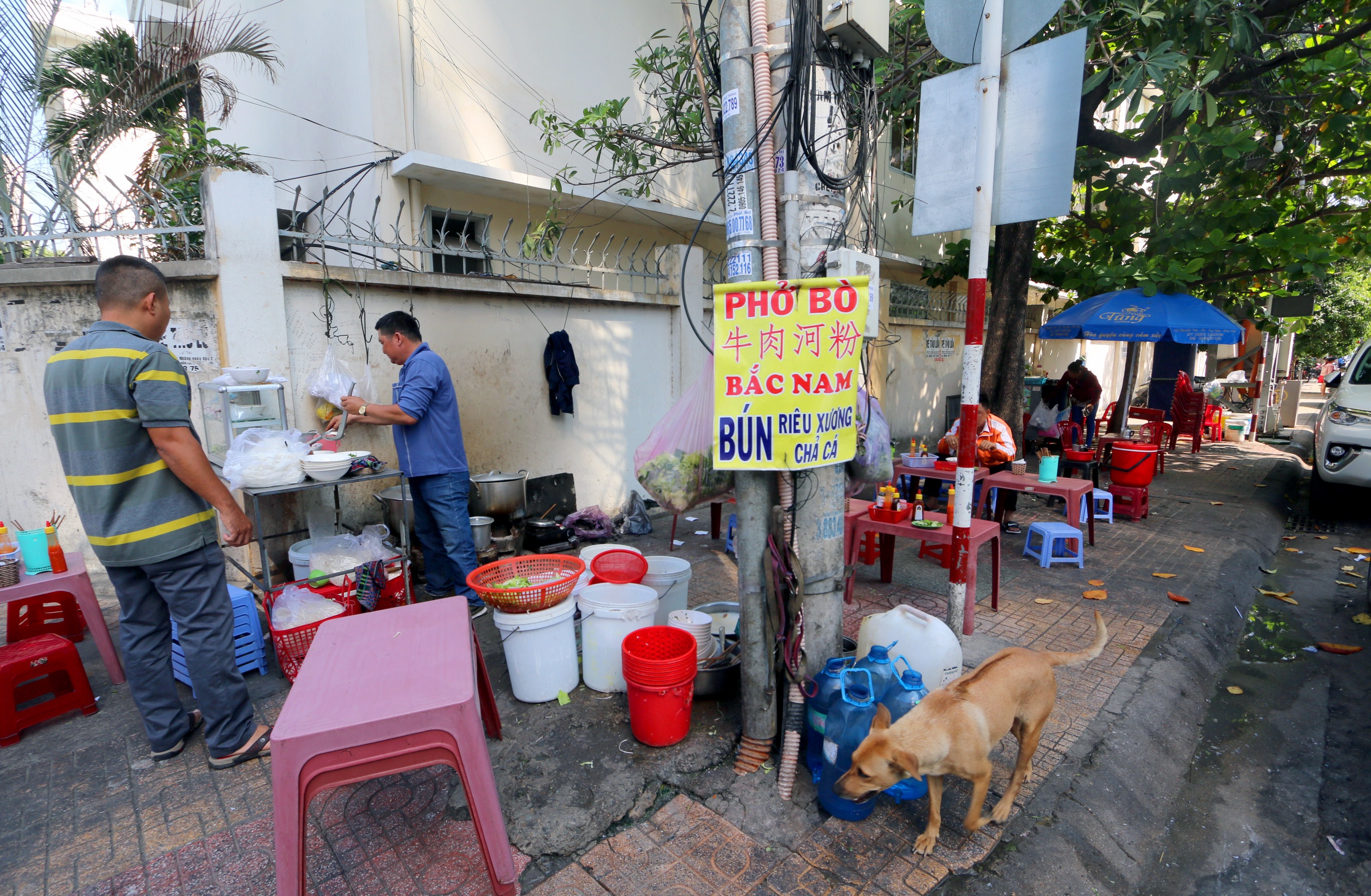 Dich viem phoi cap virus corona anh 9