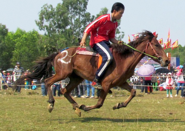 virus corona chung nCoV anh 1