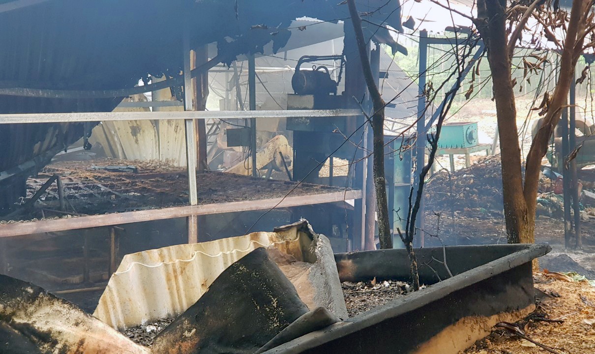 chay lon o Binh Phuoc anh 1