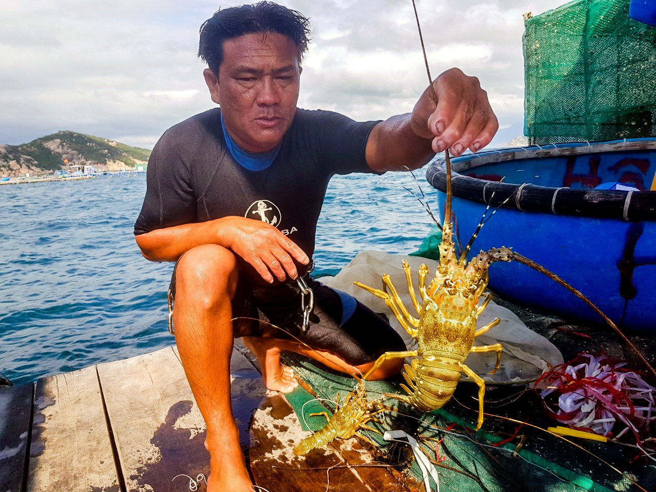 Giai cuu tom hum vi dich Covid-19 anh 3