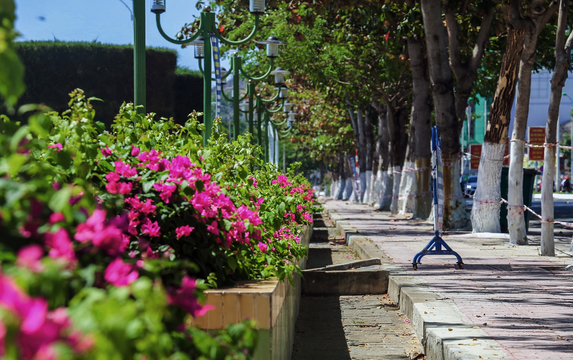 Duoc phep tam bien Nha Trang anh 4