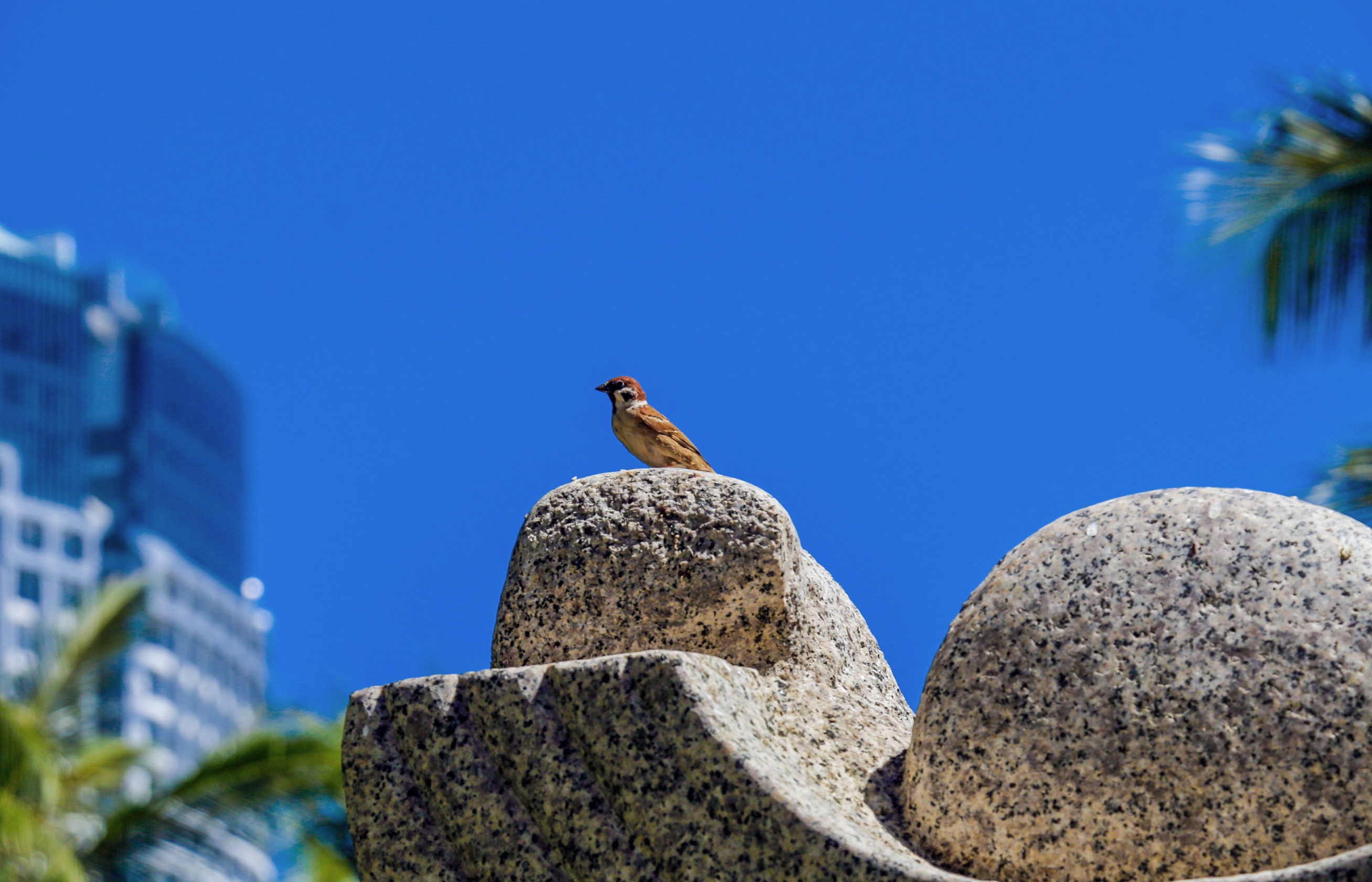 Duoc phep tam bien Nha Trang anh 5