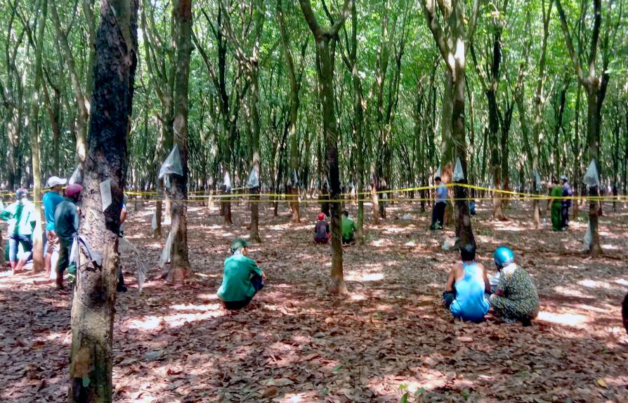 Nguoi dan ong tu vong voi nhieu dau vet bat thuong hinh anh