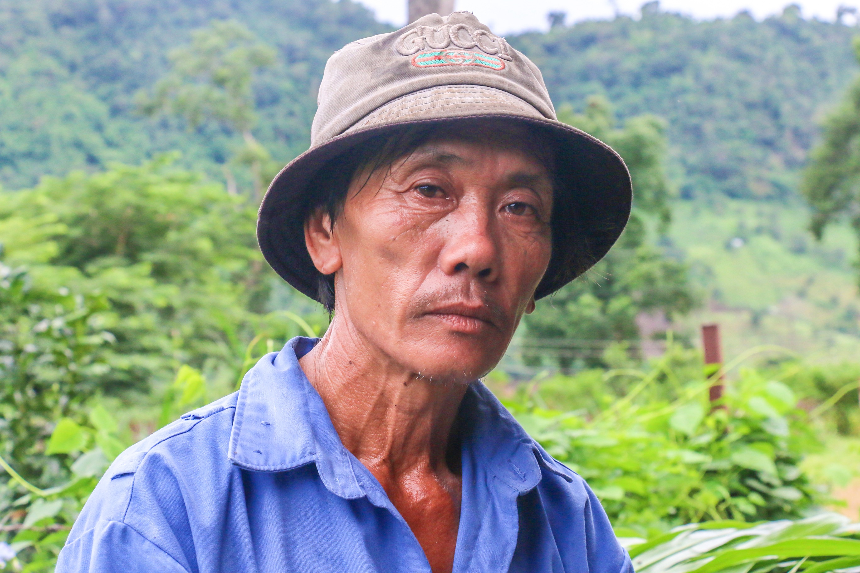 Du an nuoi bo tot lai F1 o Ninh Thuan anh 8