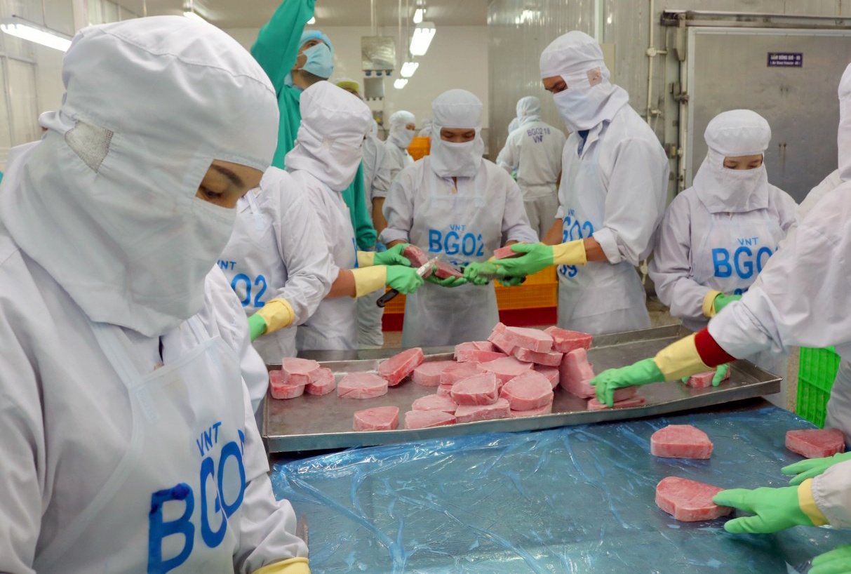 xuat khau ca ngu sang EU anh 1