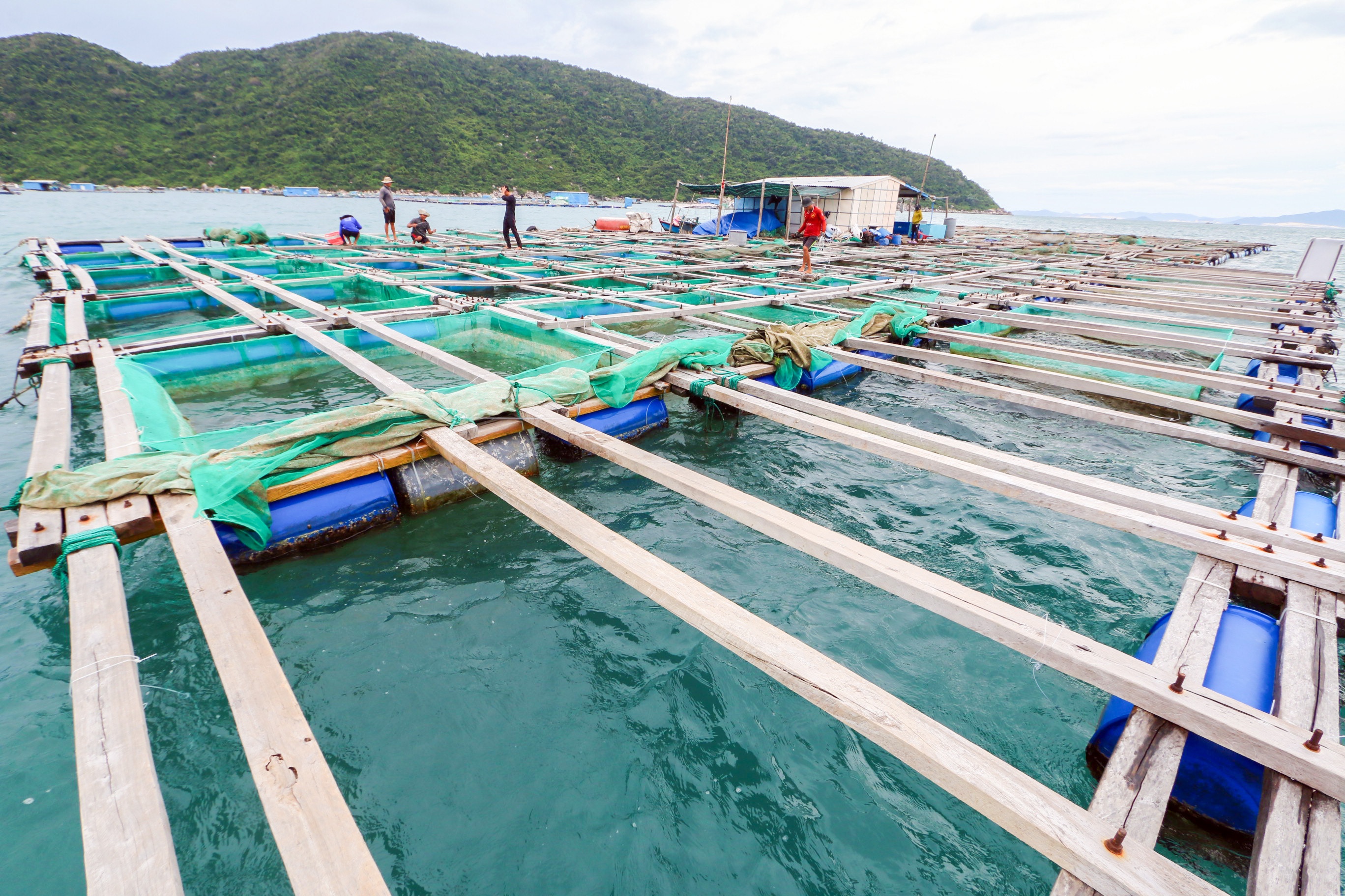 Ngu dan chang buoc long be chong bao so 9 anh 1