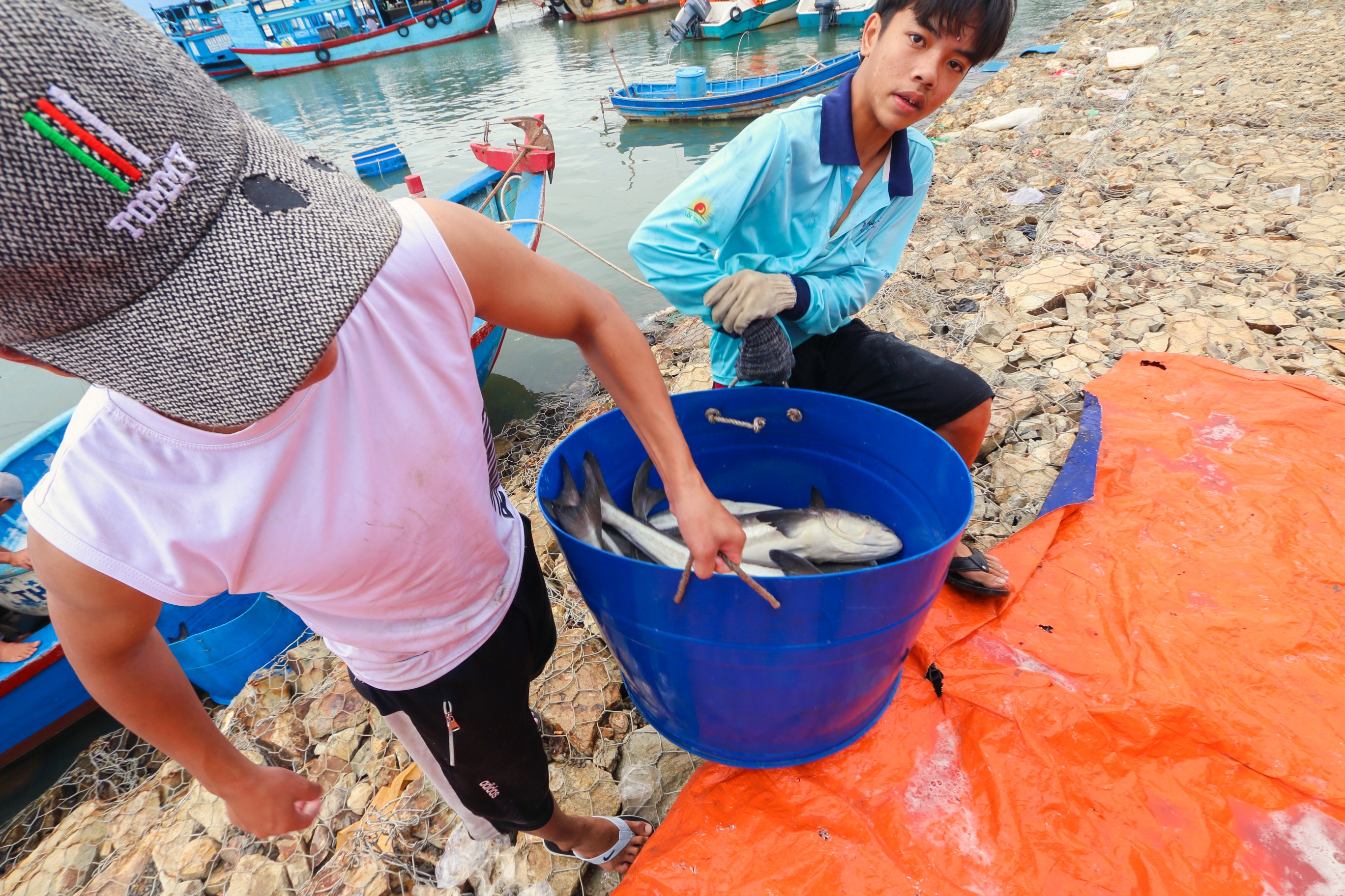 Ngu dan ban thao tom,  ca chay bao so 9 anh 3