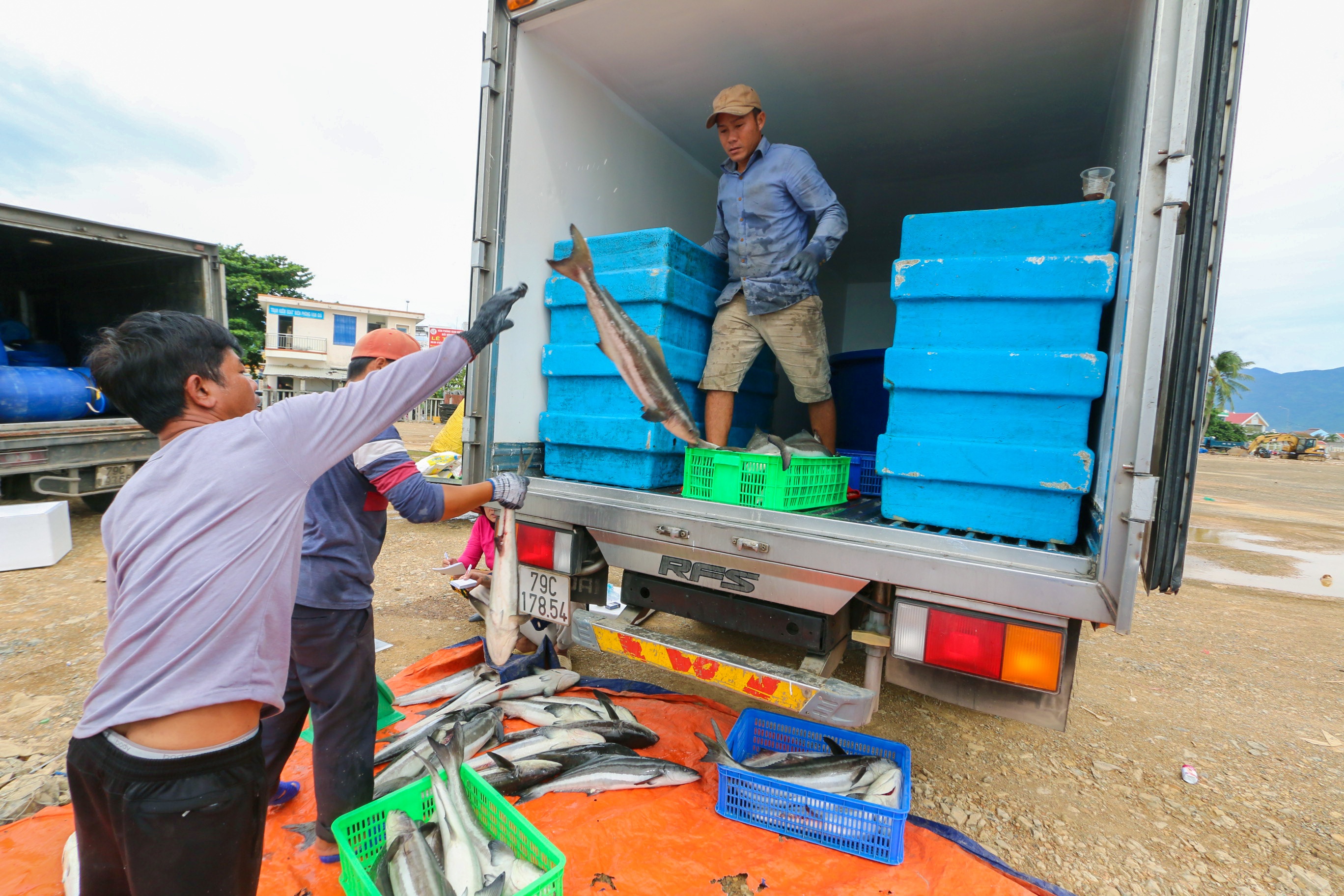 Ngu dan ban thao tom,  ca chay bao so 9 anh 5