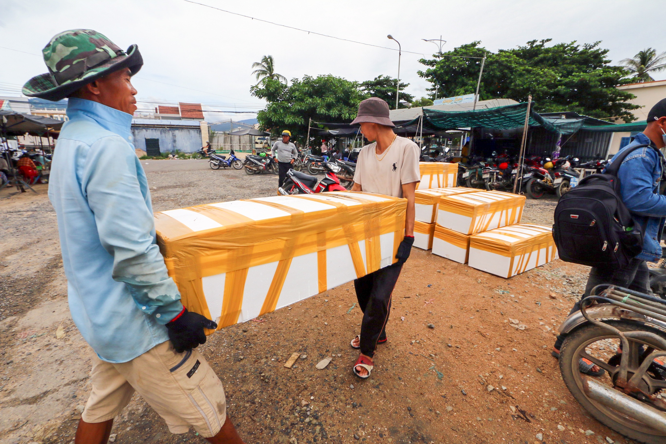 Ngu dan ban thao tom,  ca chay bao so 9 anh 7