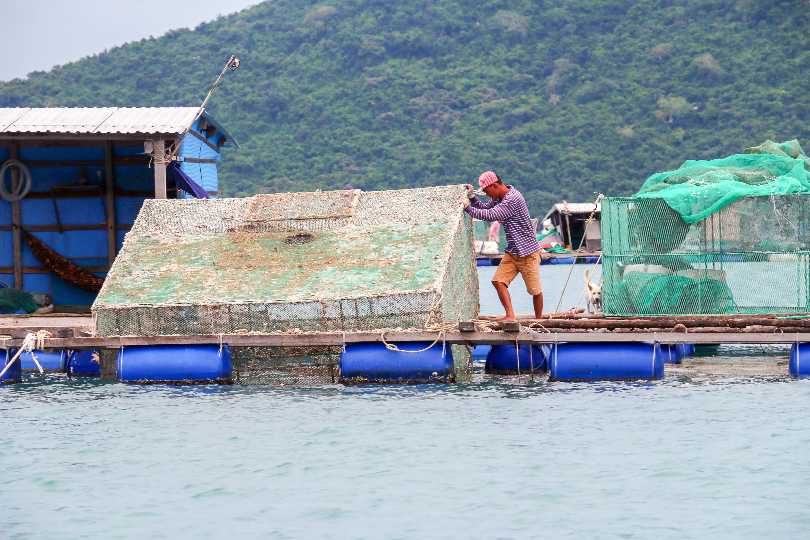 Ngu dan chang buoc long be chong bao so 9 anh 6