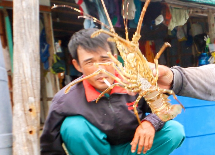 Nguoi nuoi tom hum lo lang truoc bao so 9 hinh anh