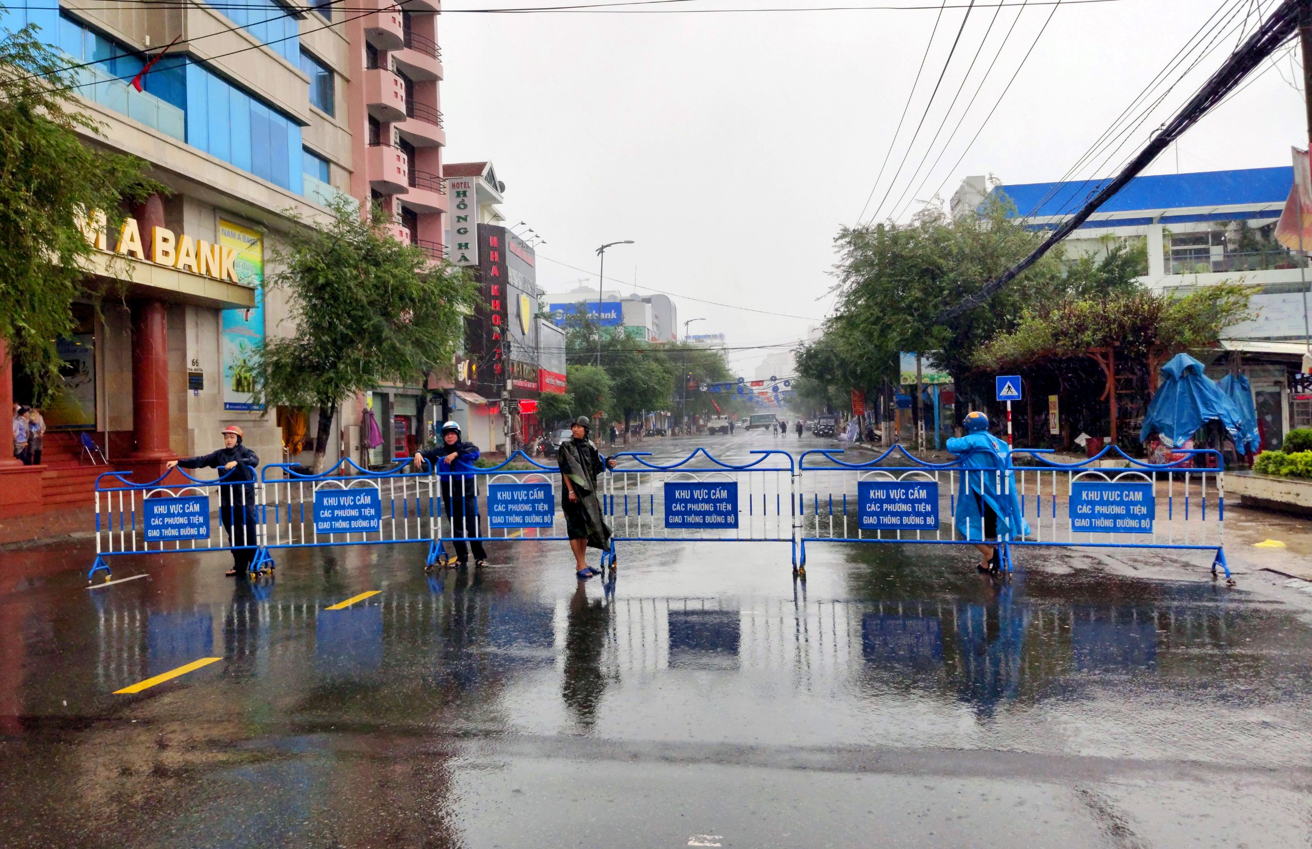 Bao so 12 do bo anh 10