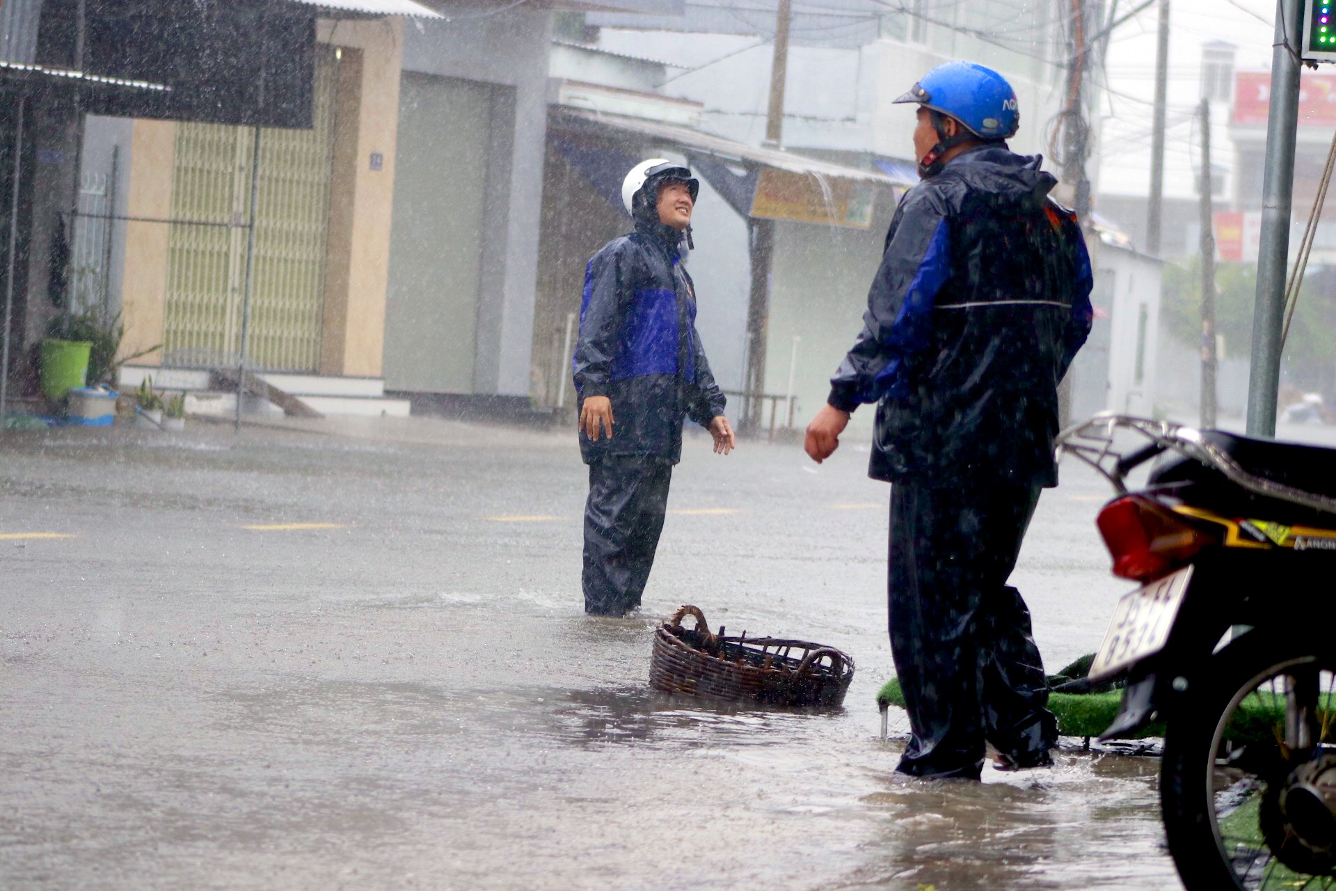 Bao so 12 do bo anh 12