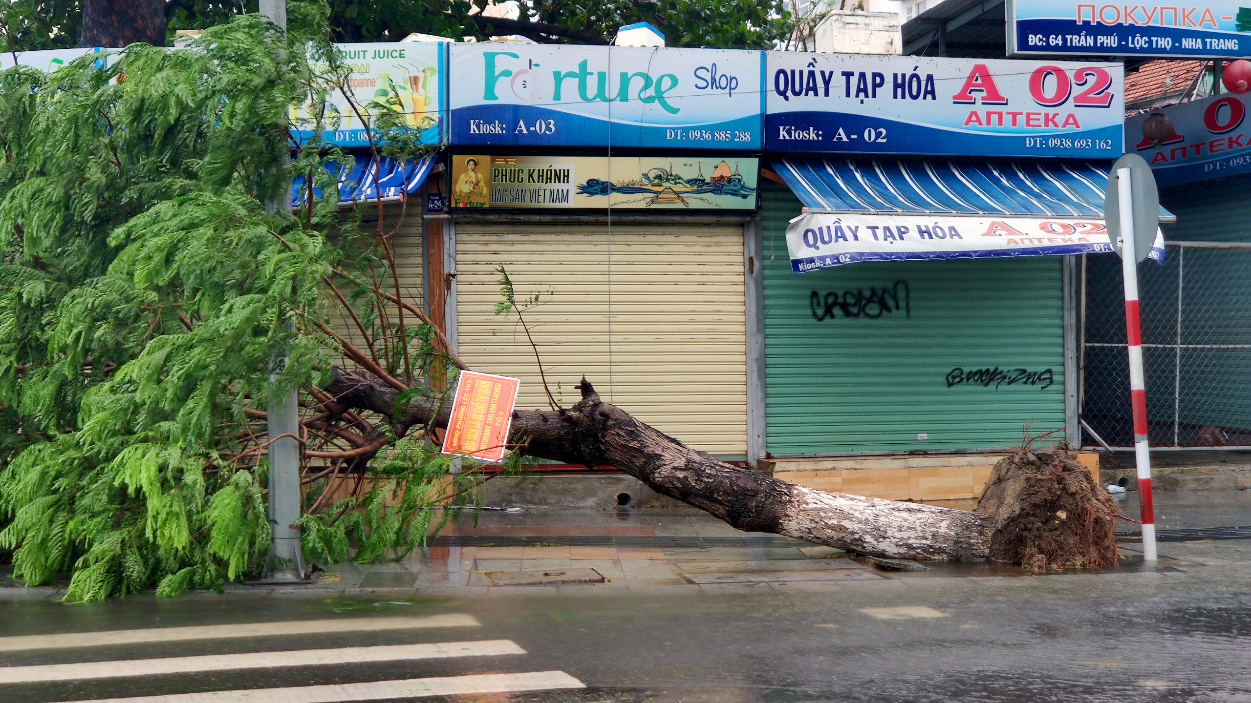 Bao so 12 do bo anh 1