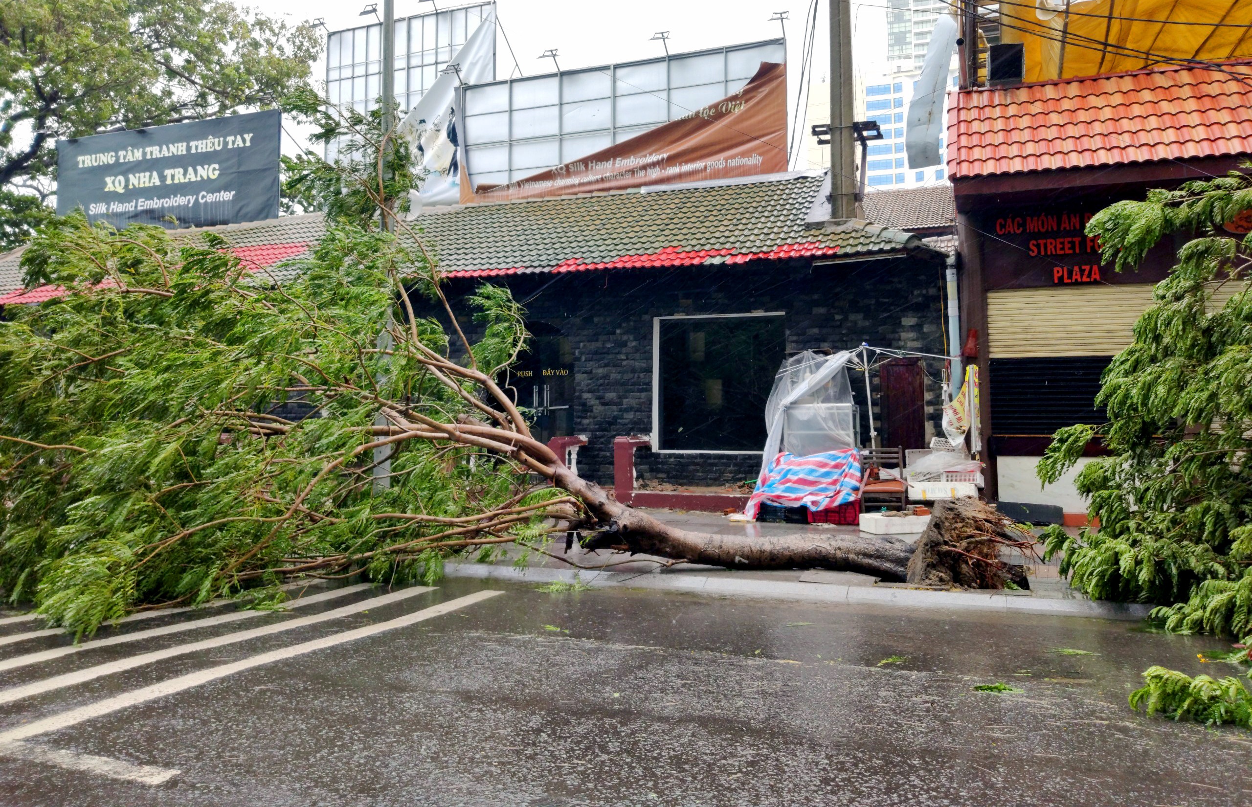 Bao so 12 do bo anh 2