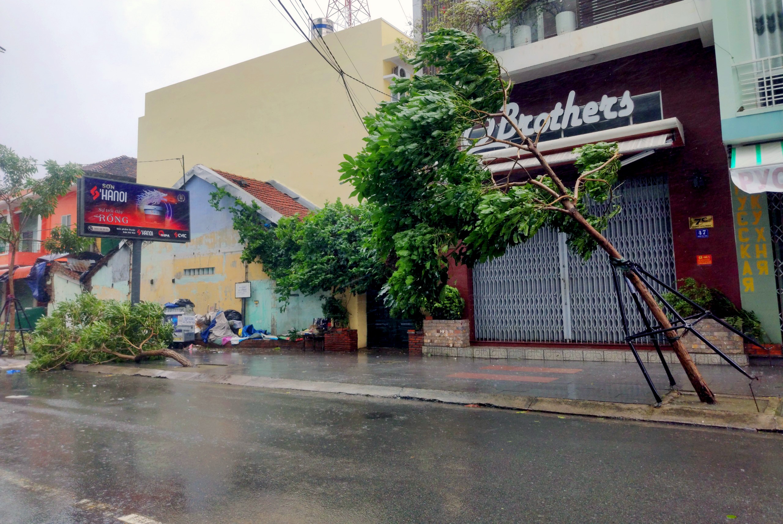 Bao so 12 do bo anh 3