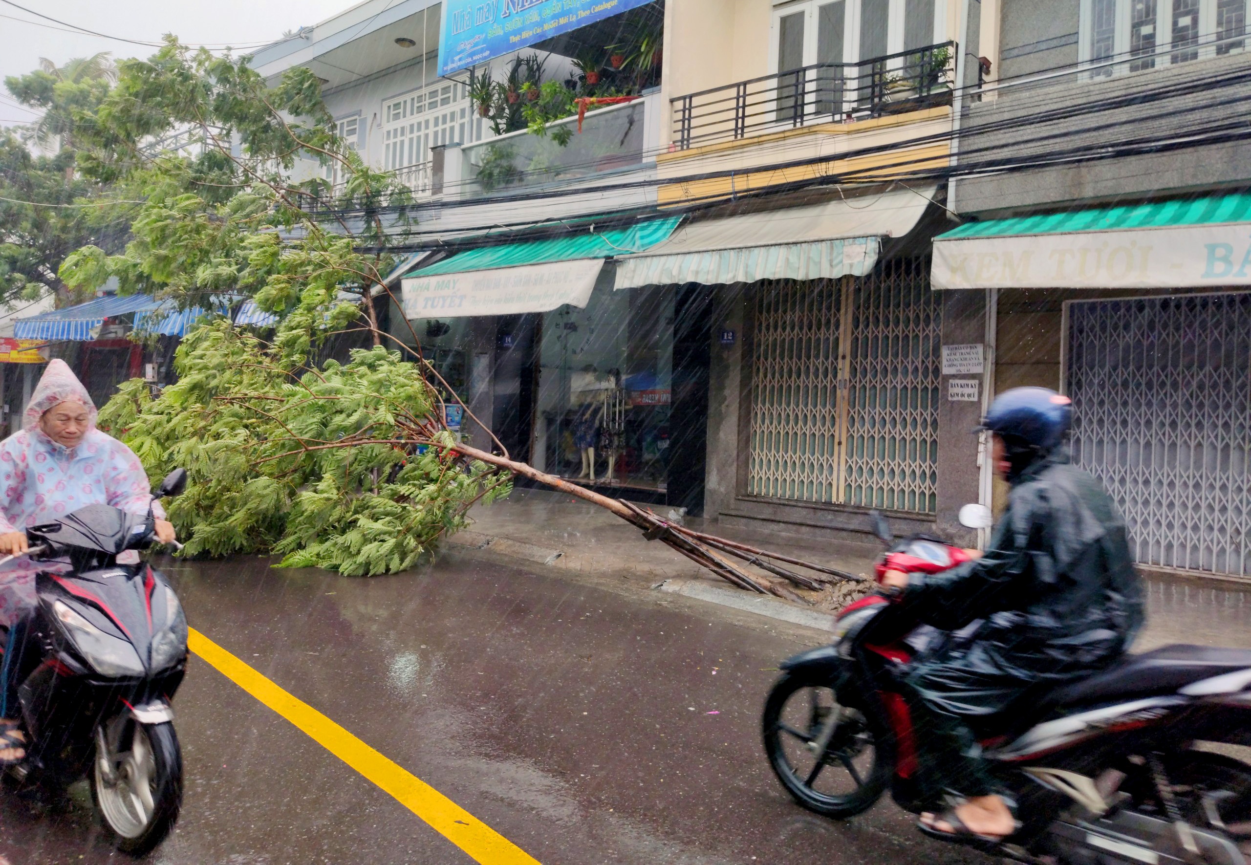 Bao so 12 do bo anh 6