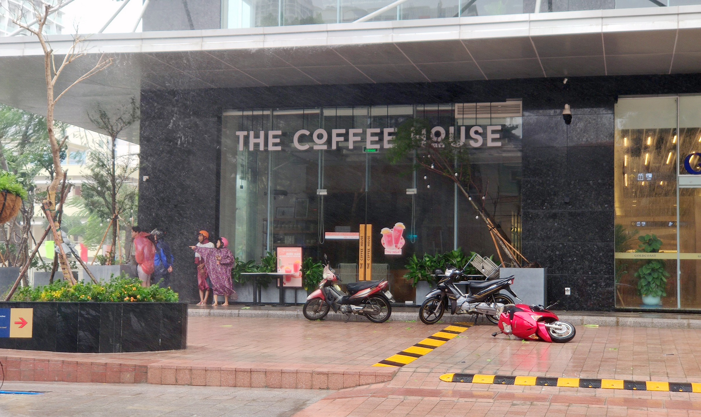 Bao so 12 do bo anh 7