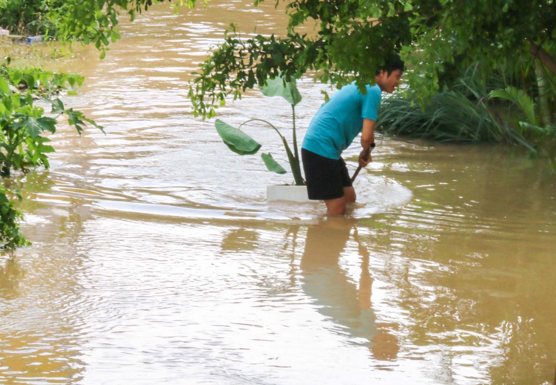 Nha Trang ngap anh 7