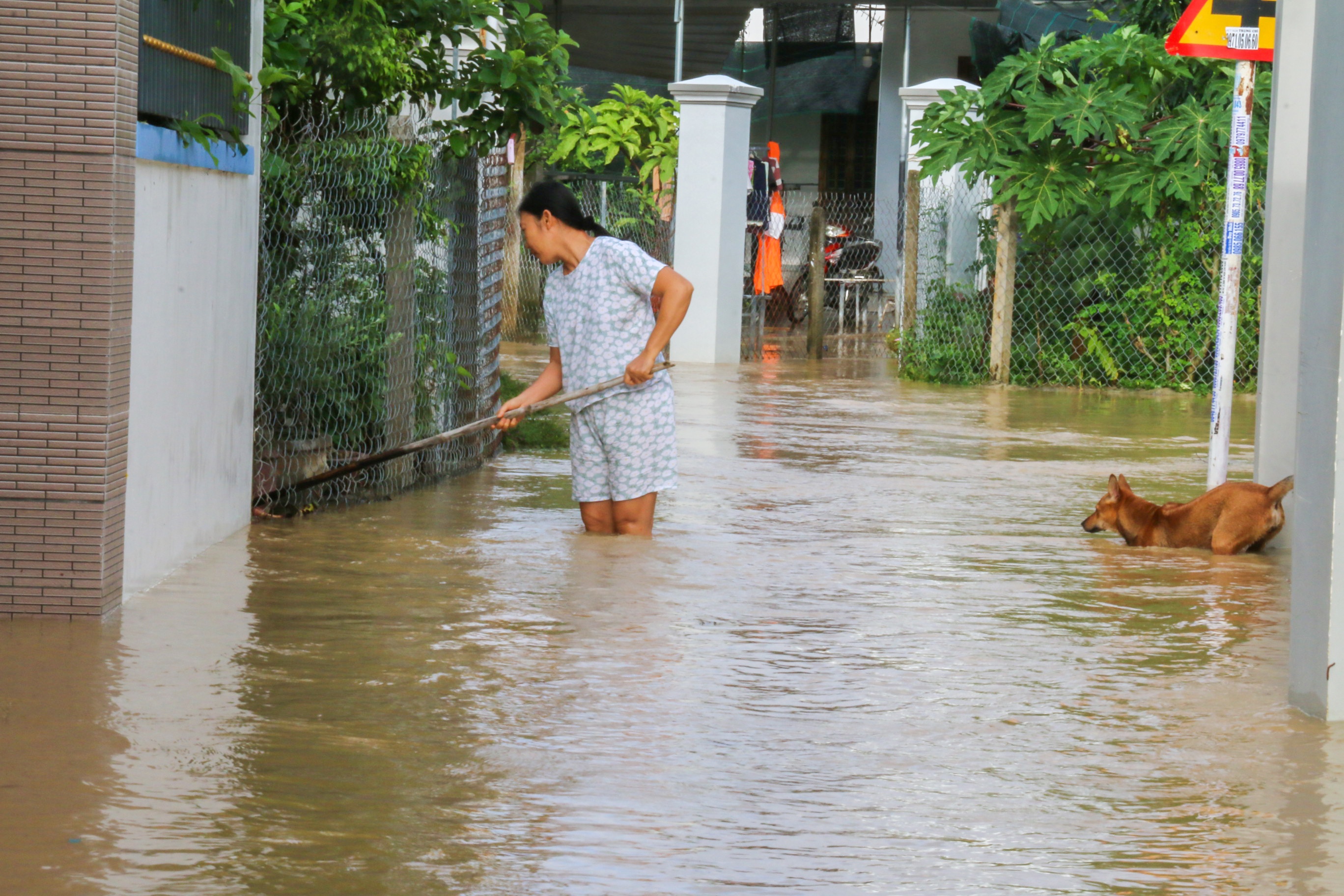 Nha Trang ngap anh 4