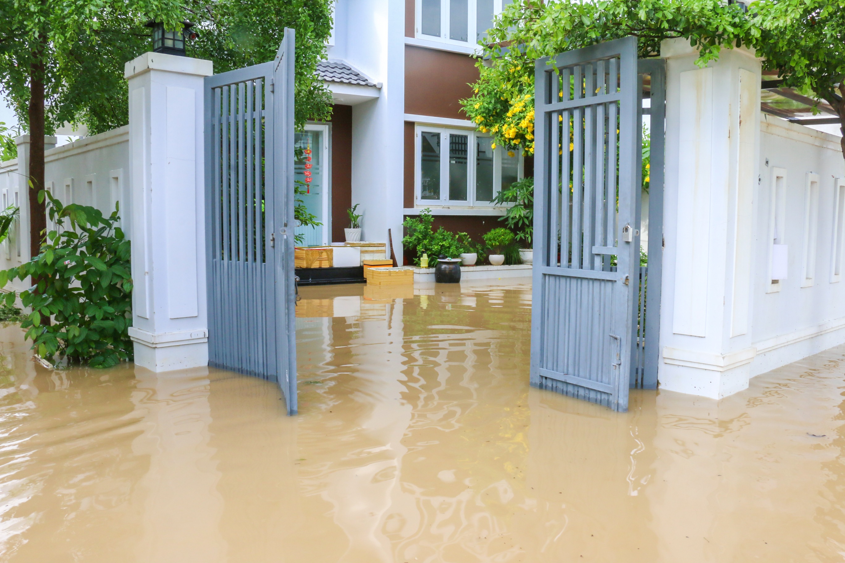 Nha Trang ngap anh 2