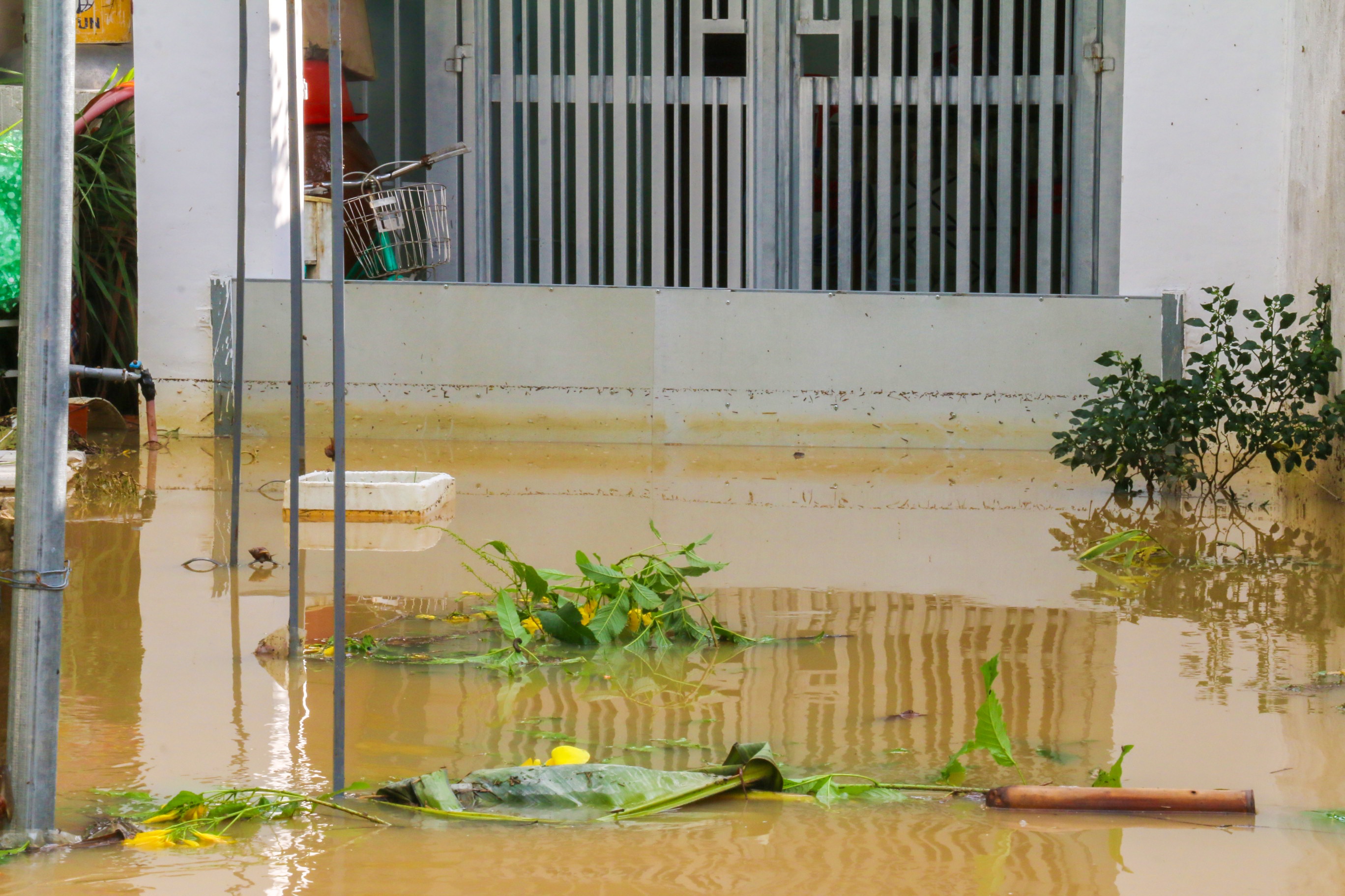 Nha Trang ngap anh 3