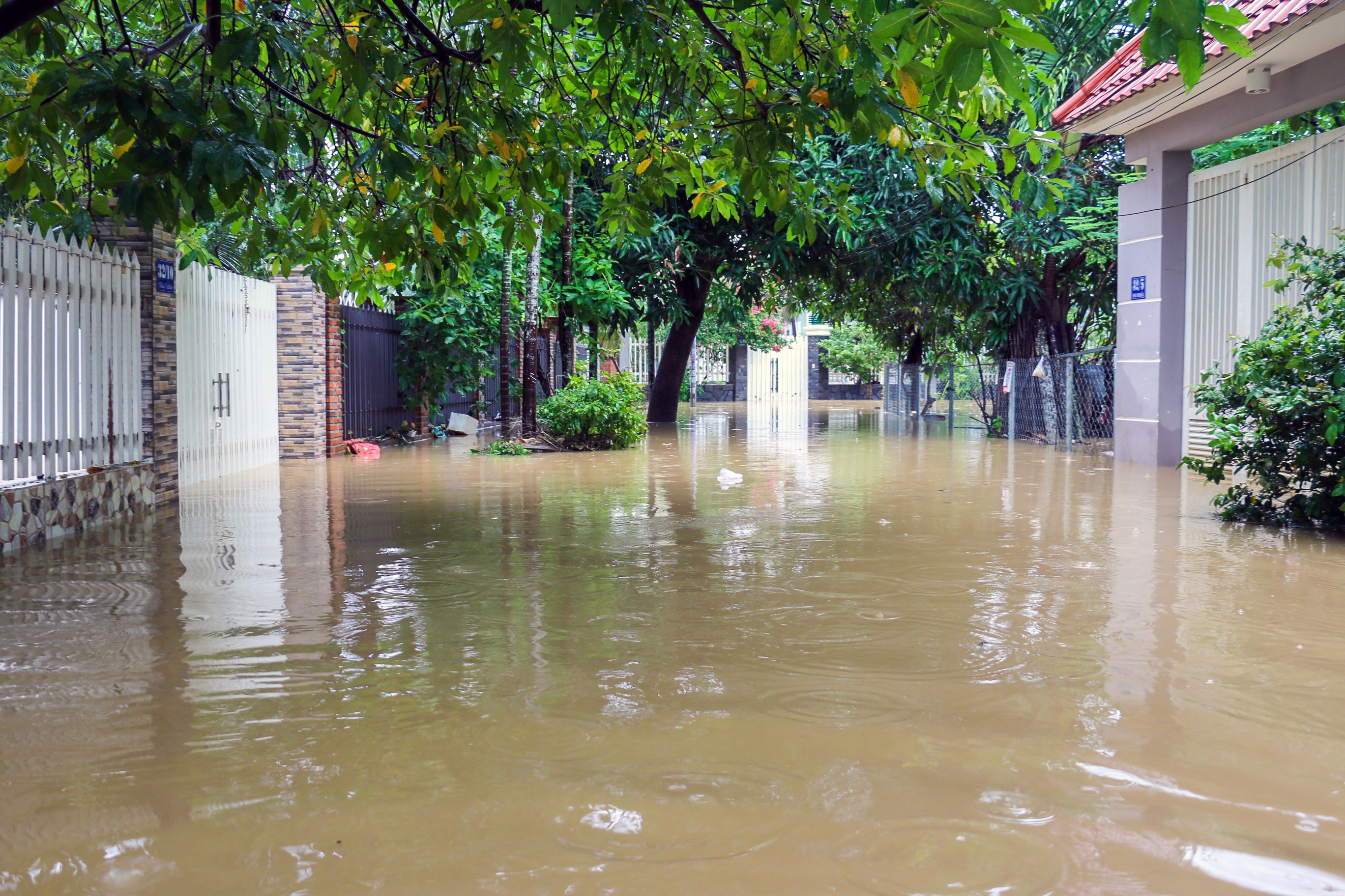 Nha Trang ngap nang anh 5