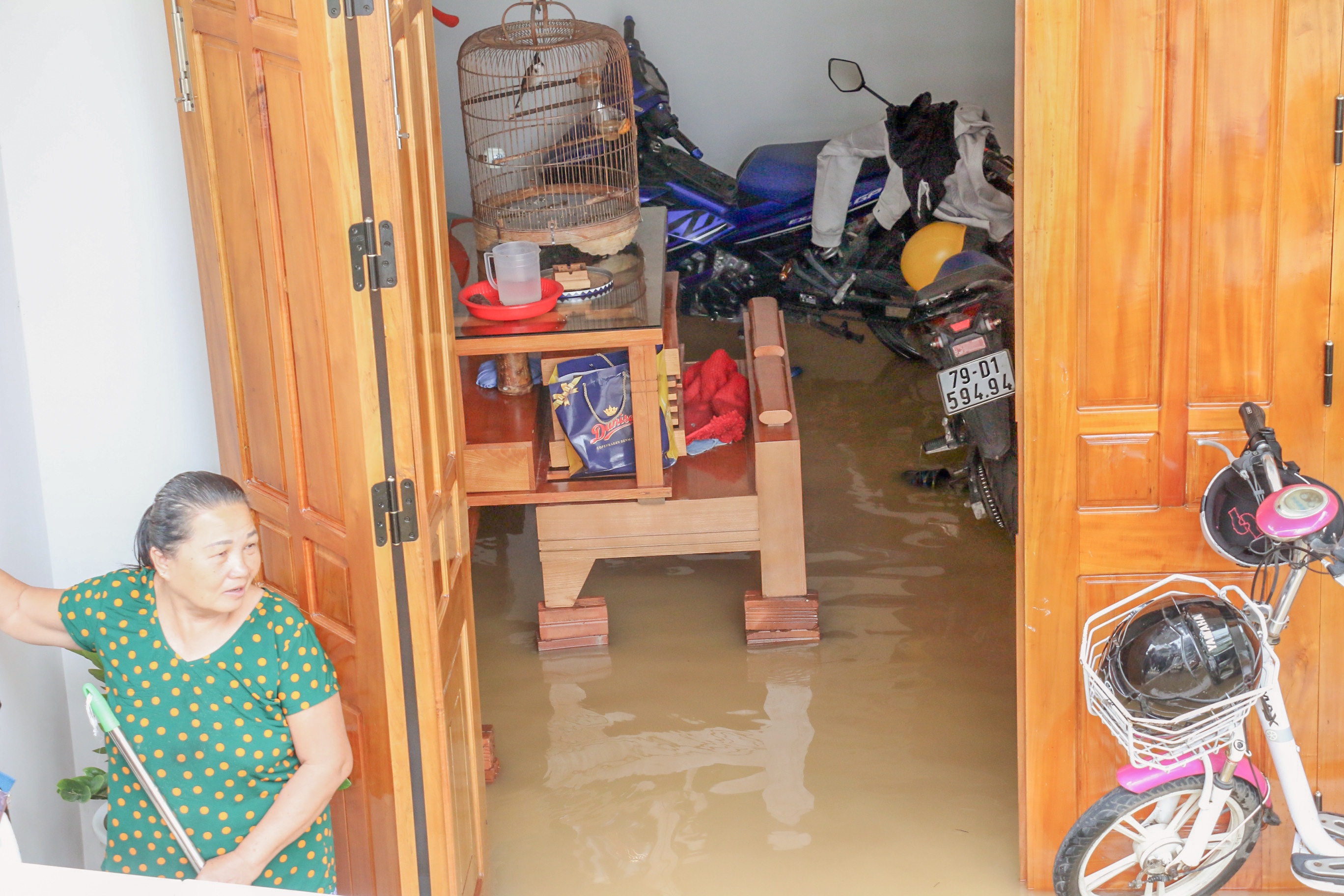 Nha trang chim trong lu anh 1